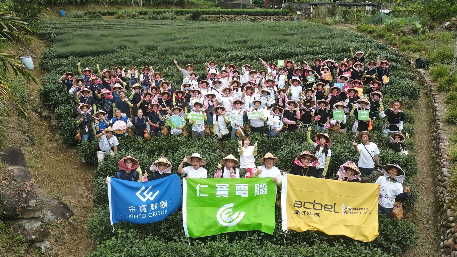 從採茶到護水庫　金仁寶集團力挺坪林有機茶