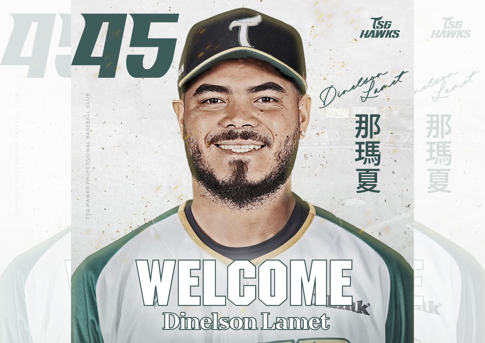 中職／2020年大聯盟防禦率2.09！新洋投那瑪夏加盟台鋼