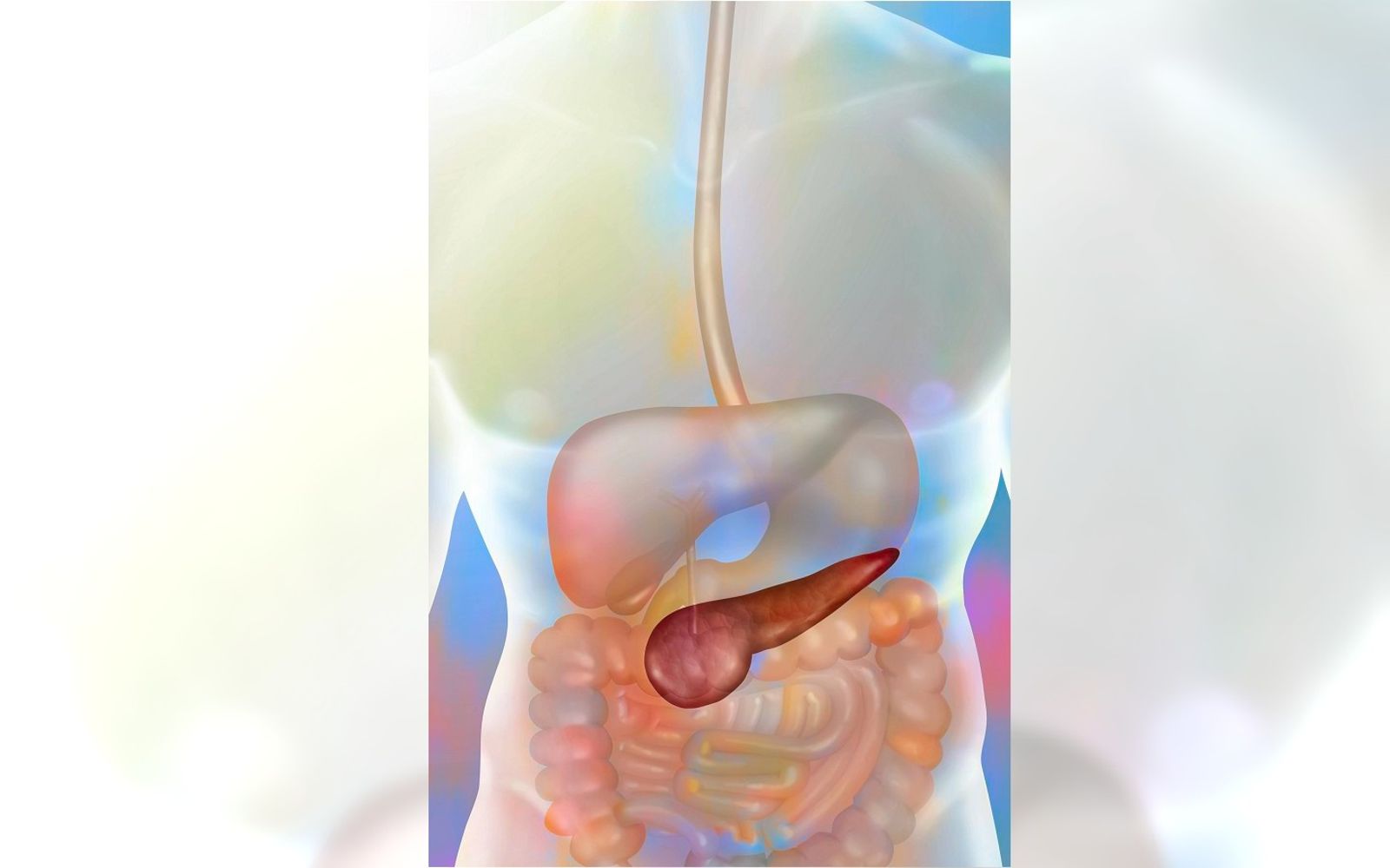 60歲婦無痛感「皮膚發黃」確診魔王級癌症！　醫：注意3細節