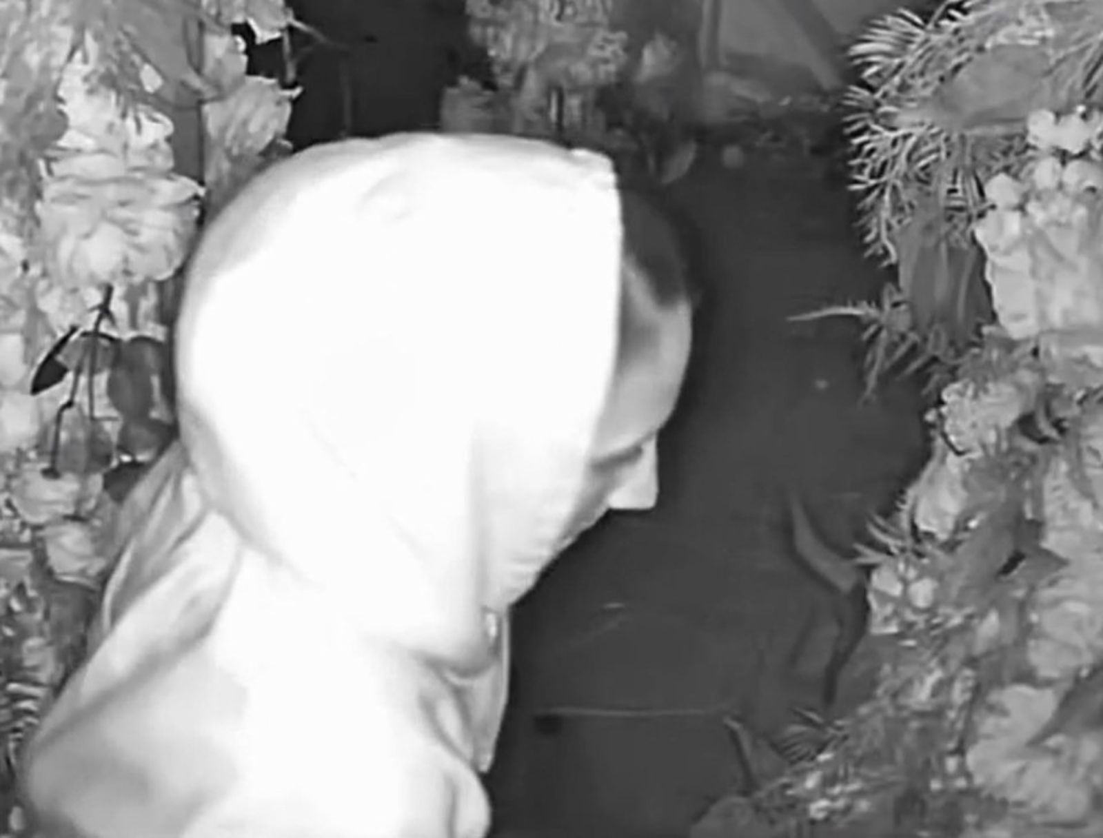 這對情侶闖入餐廳後,先在戶外區的浪漫花圈裝置處,就地愛愛。圖/翻自《福斯新聞網》