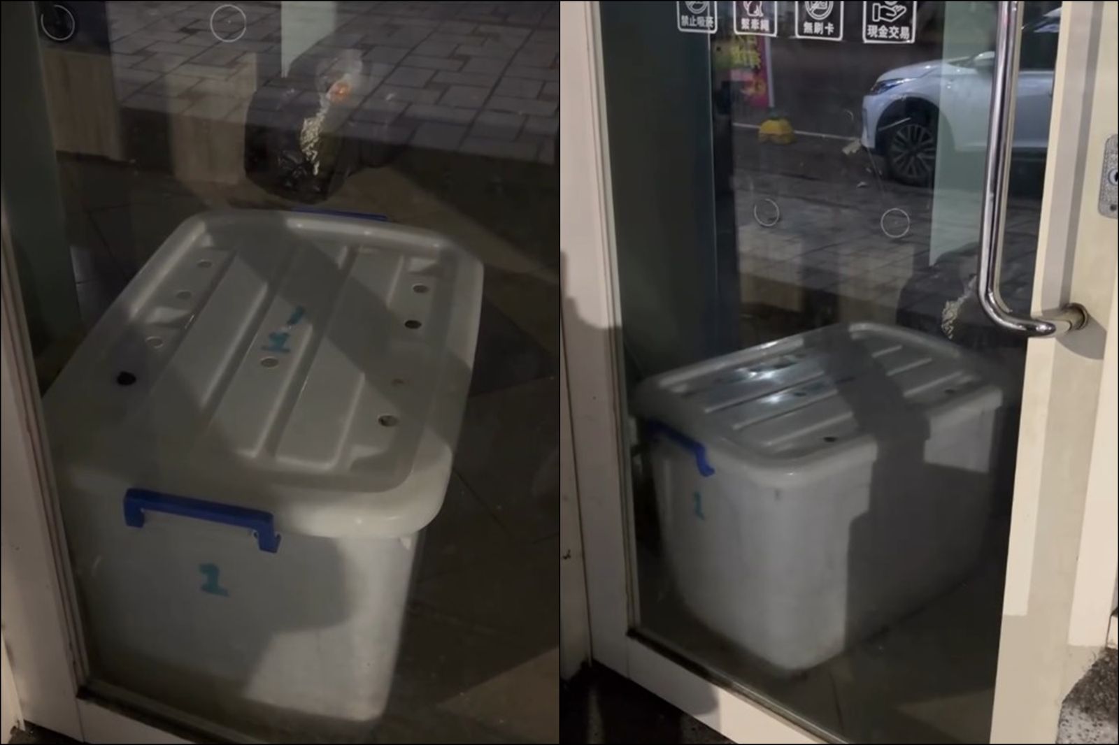 知名寵物店爆虐狗！打烊後關收納箱「無水無食一整晚」…狗驚慌撞箱哀嚎畫面曝