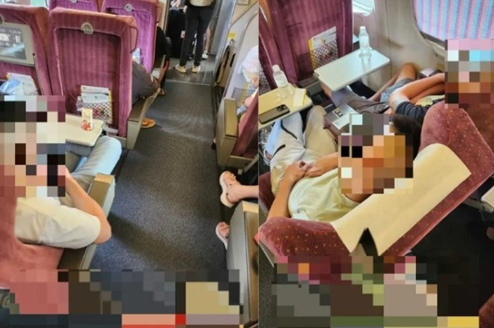 高鐵商務車廂驚見「89猴」　2荒謬行徑網批：穿衣服自以爲是人類