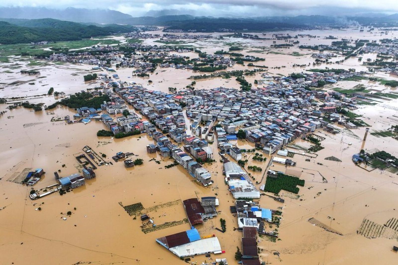 一黨獨大遍地豆腐工程 習近平反貪永遠只在路上