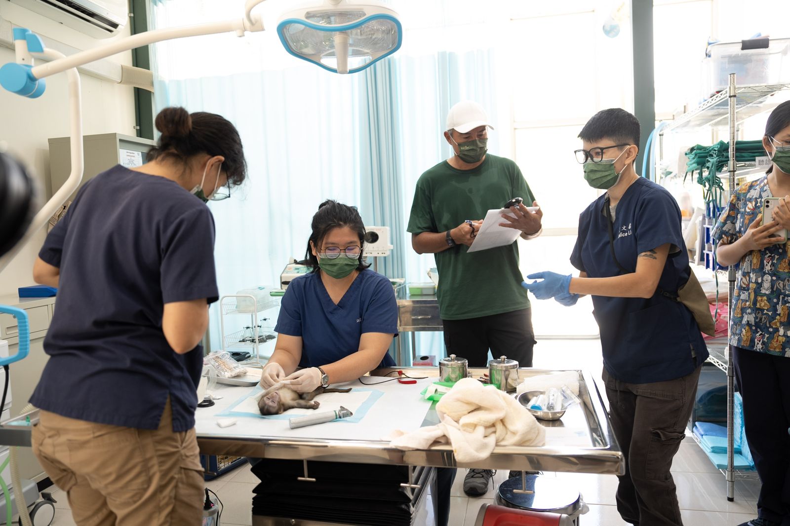 《歐吉桑騎士》李銘順（中後）協助小猴子手術。公視提供