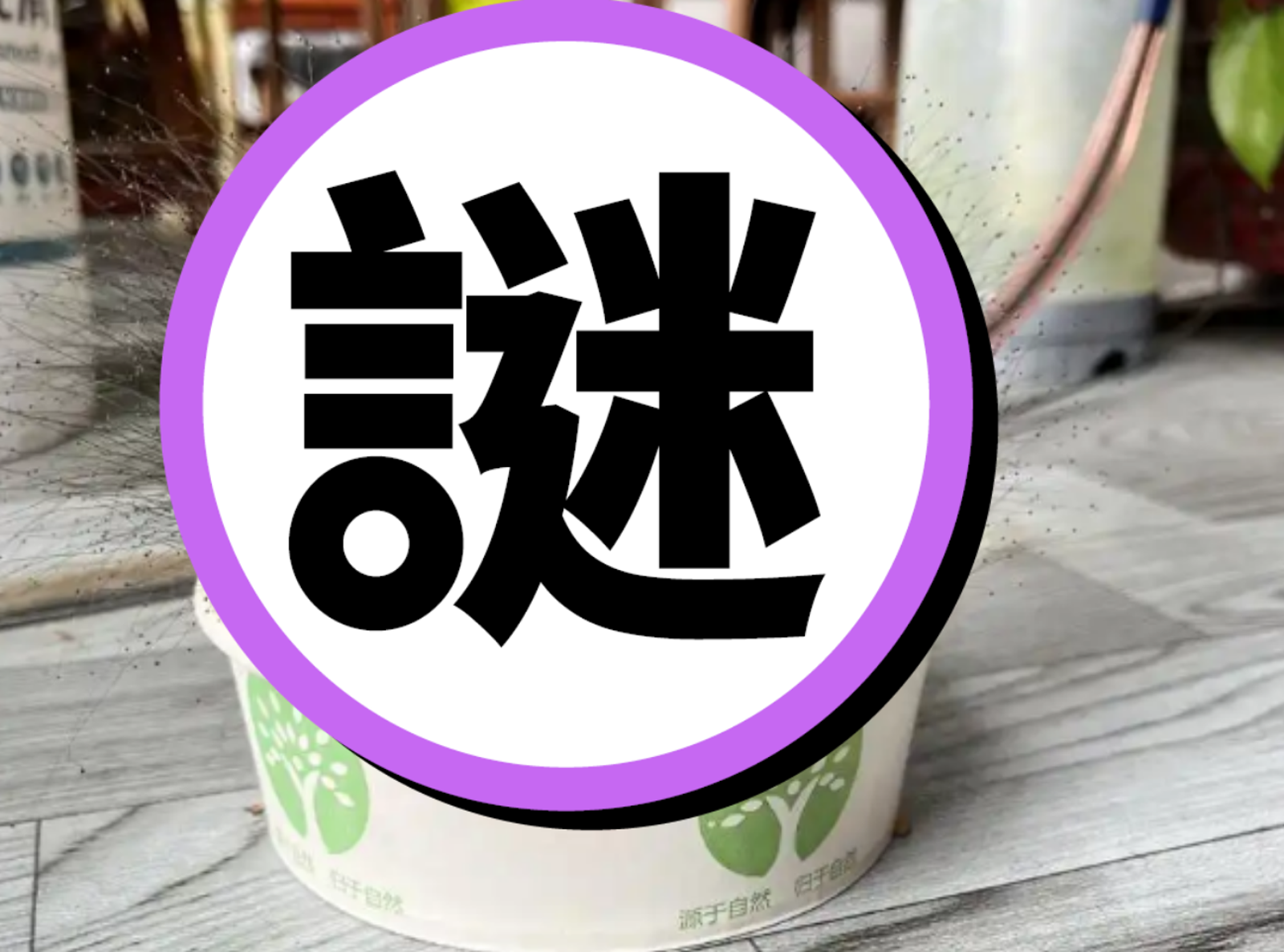 返鄉過年忘了丟！牛肉飯長出「15cm濃密黑髮」...專家解答了