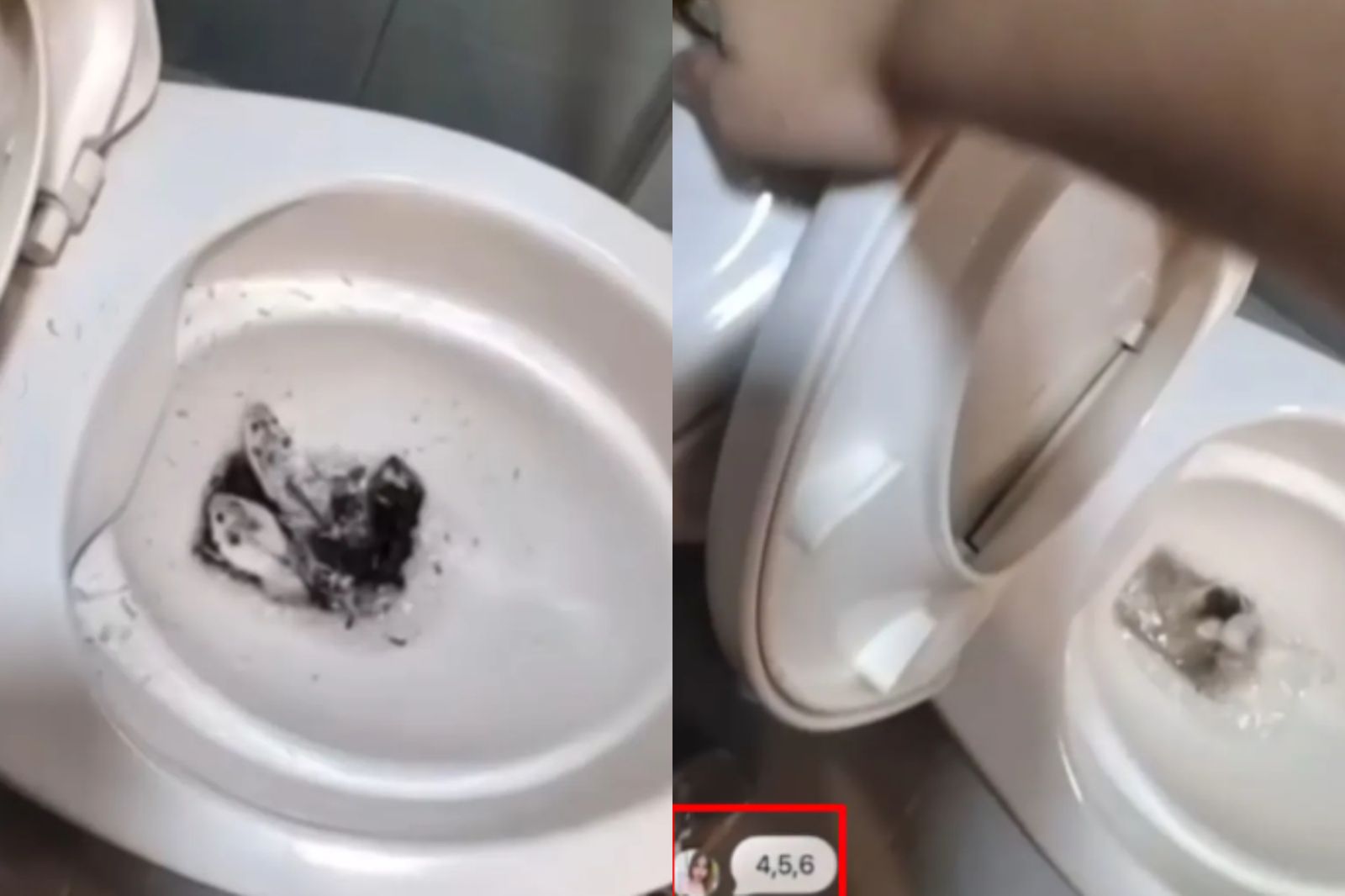 「倉鼠沖馬桶」惡女身分曝光！警方證實：上個月剛落網