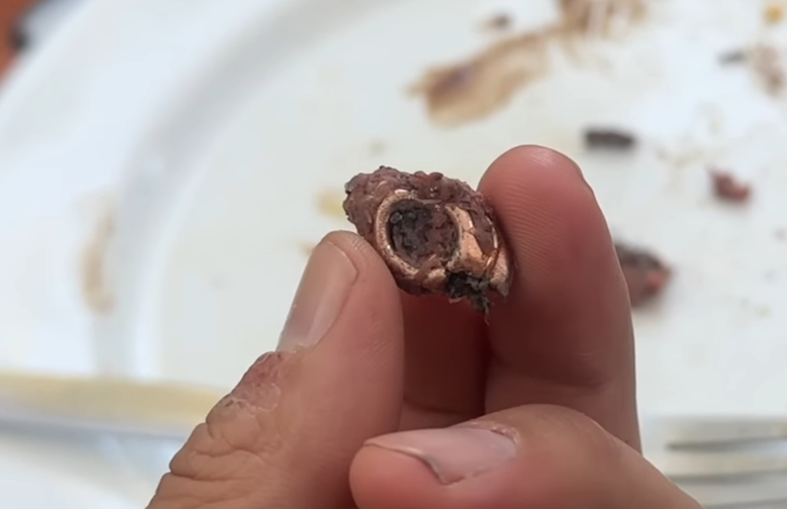 日40萬YTR遊非大啖長頸鹿！意外「吞下子彈」慘鉛中毒...成醫學首例