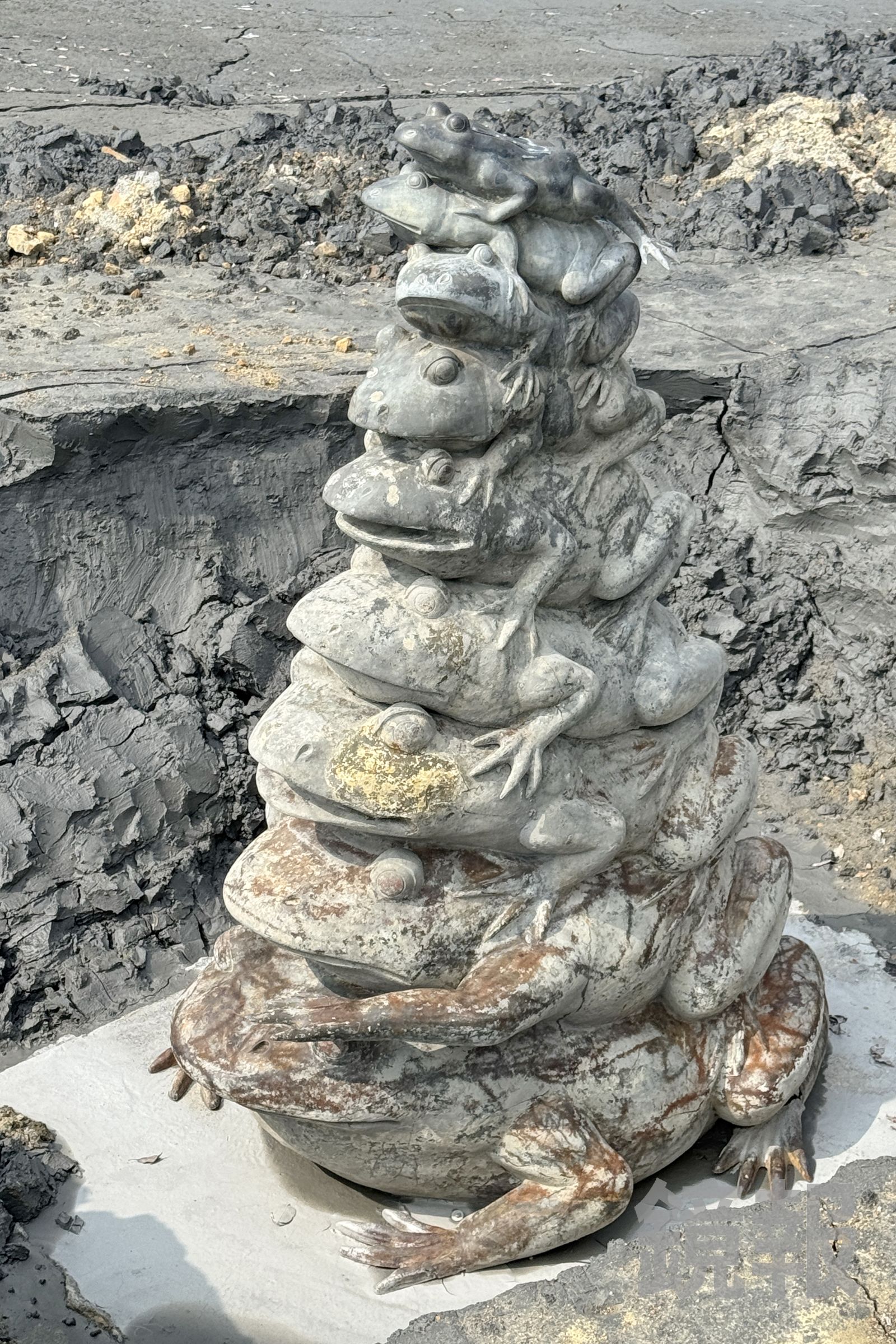 日月潭知名景點「九蛙疊像」全員現身，表情生動，姿態相當可愛。林建鋒攝