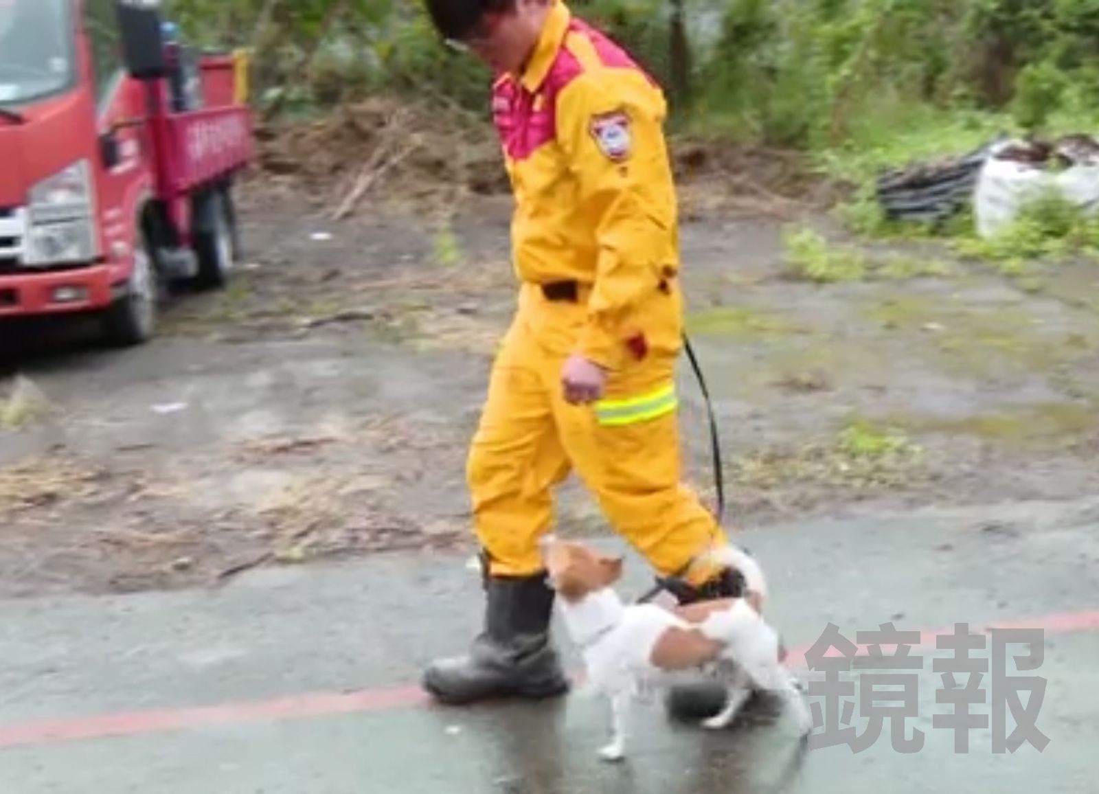 花蓮大地震「英雄犬」Wilson殉職　消防局將立紀念碑追思