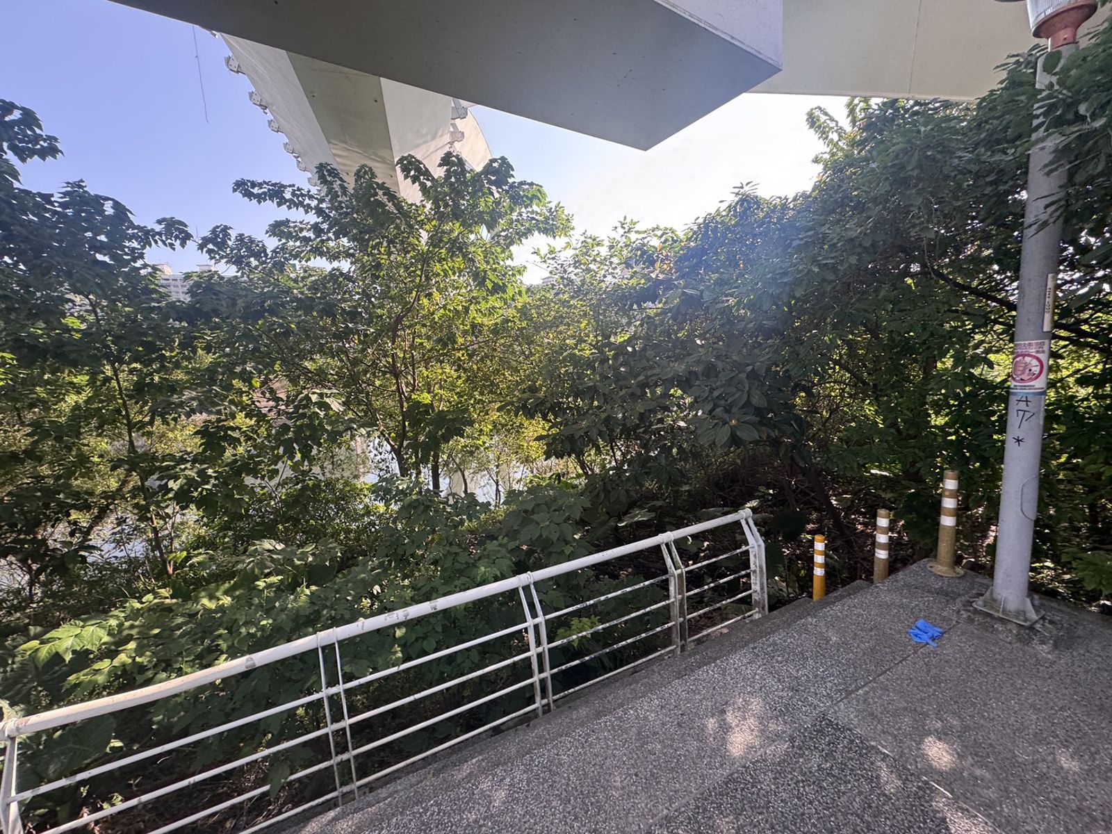 詭異命案！1男1女新店陽光運動公園昏迷　男送醫不治死因成謎