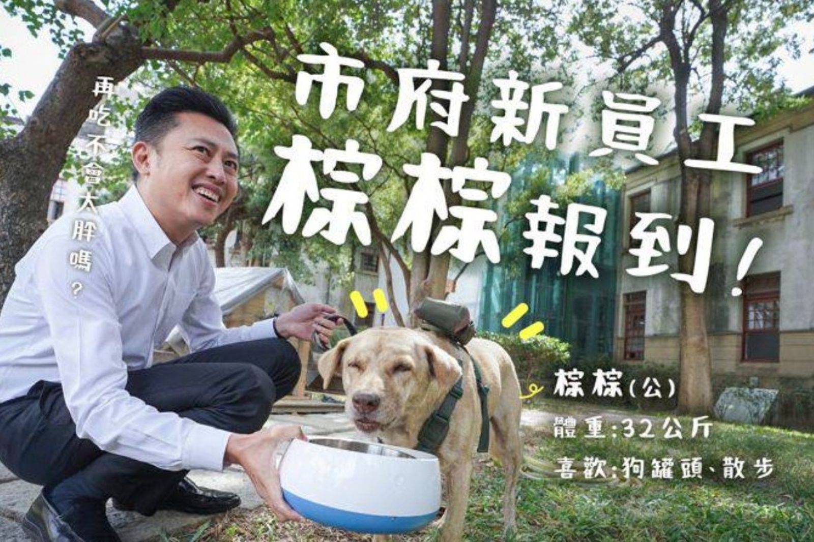 新竹市犬「棕棕」疑被棄養!綠議員力挺林智堅:只是安置 遭挖出是論文槍手