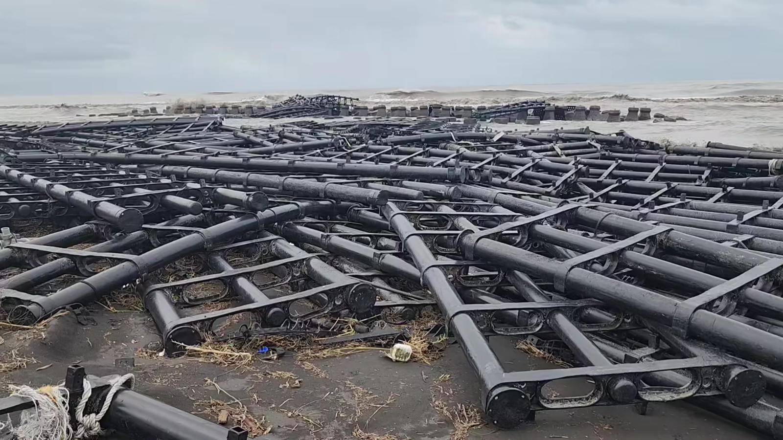 網傳「光電板會毒死養殖魚」！專家實測「泡水7天」揭真相…事實查核中心發聲了