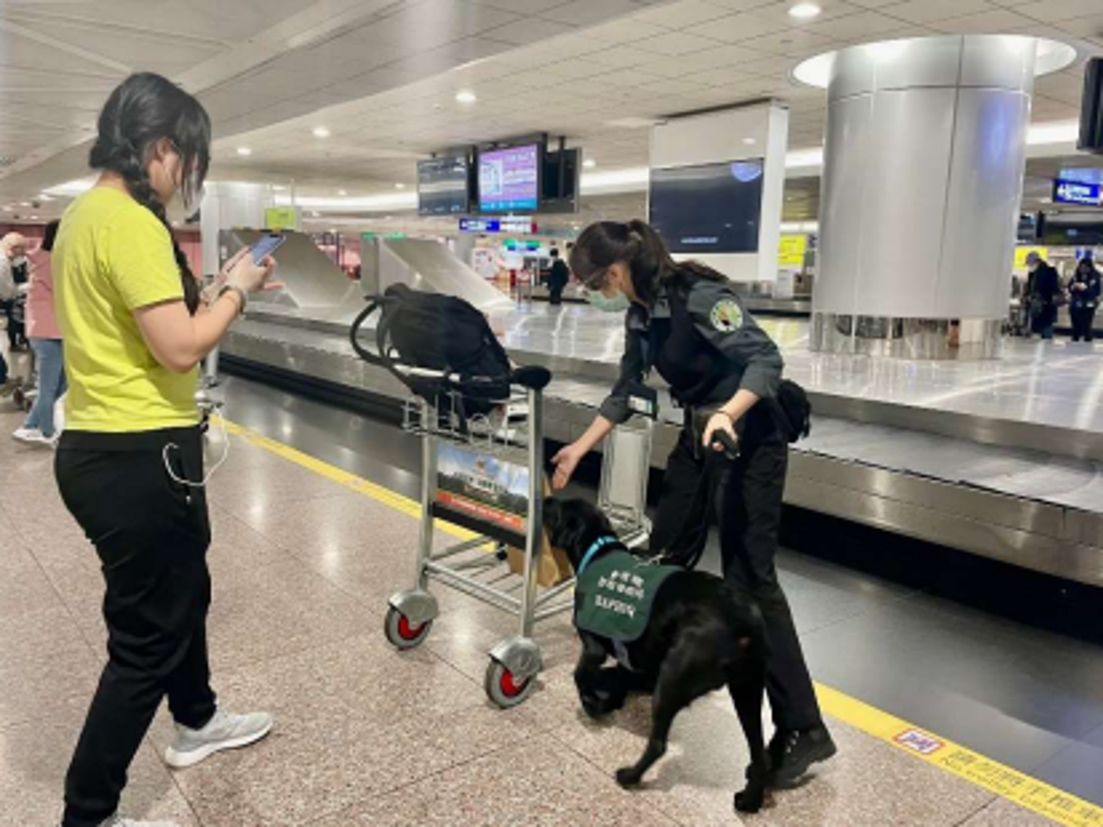 回國遭檢疫犬「合法盯上」 背後原因曝光網讚:好可愛