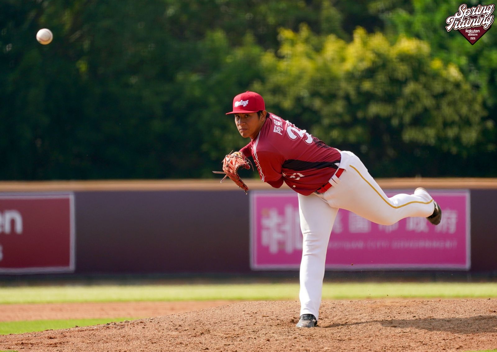 「東體彭于晏」李育朋無照酒駕肇事　樂天桃猿火速開除終止合約