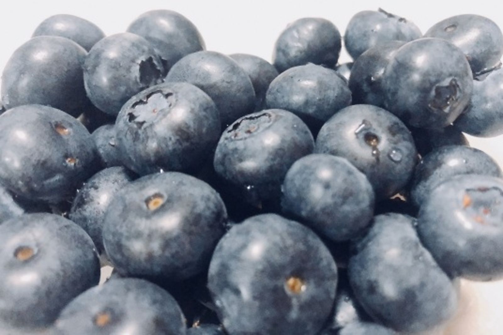 她連續吃2天藍莓「胃結石」劇痛送醫！醫師曝禁忌：4種人不宜多吃
