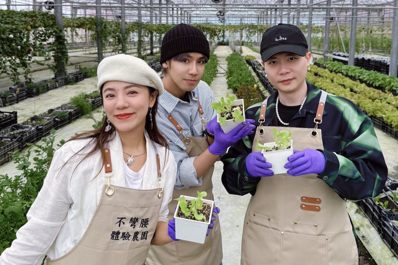 蕭秉治認親茶莊老闆還搶芝麻葉　丁噹封他「蕭貪王」