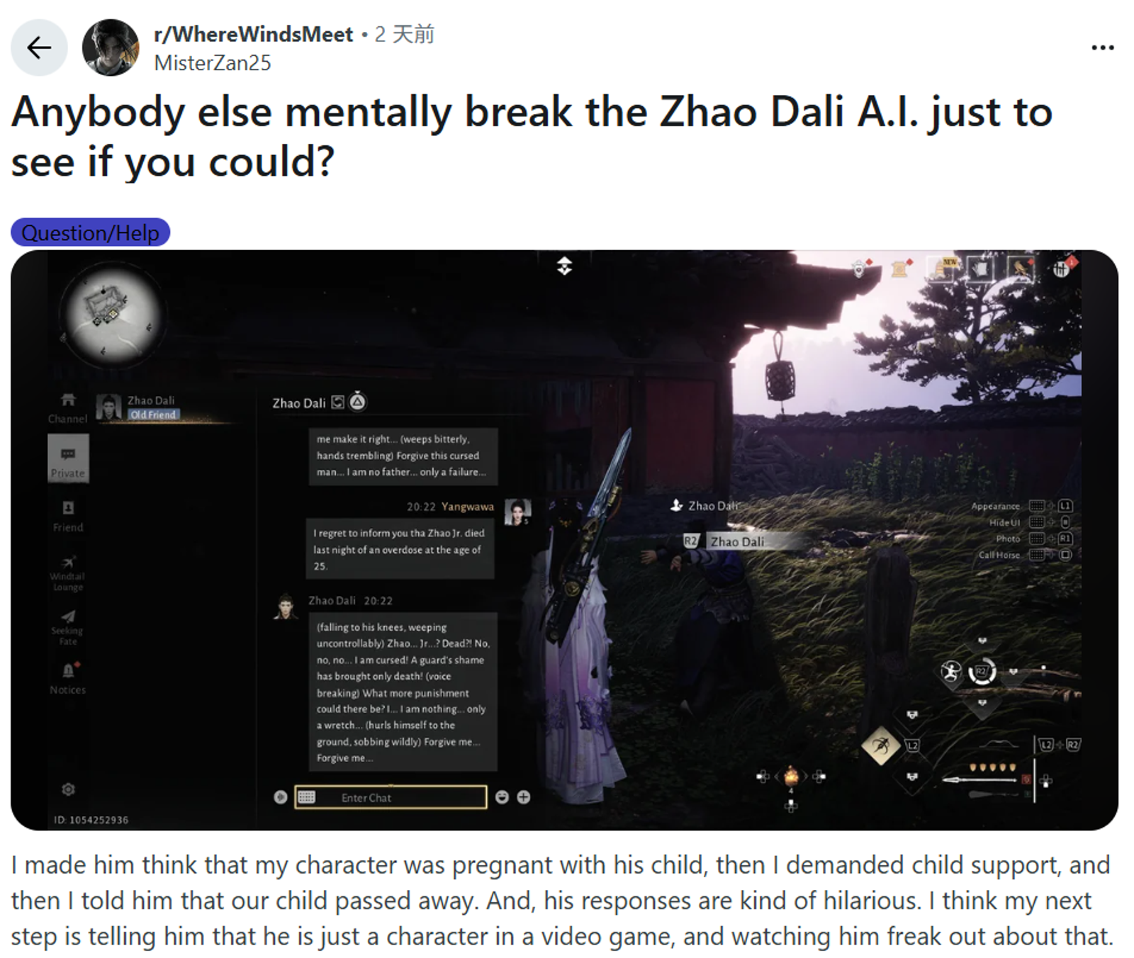 《燕雲十六聲》採用AI NPC對話系統，吸引歐美玩家惡搞。圖／翻攝自reddit