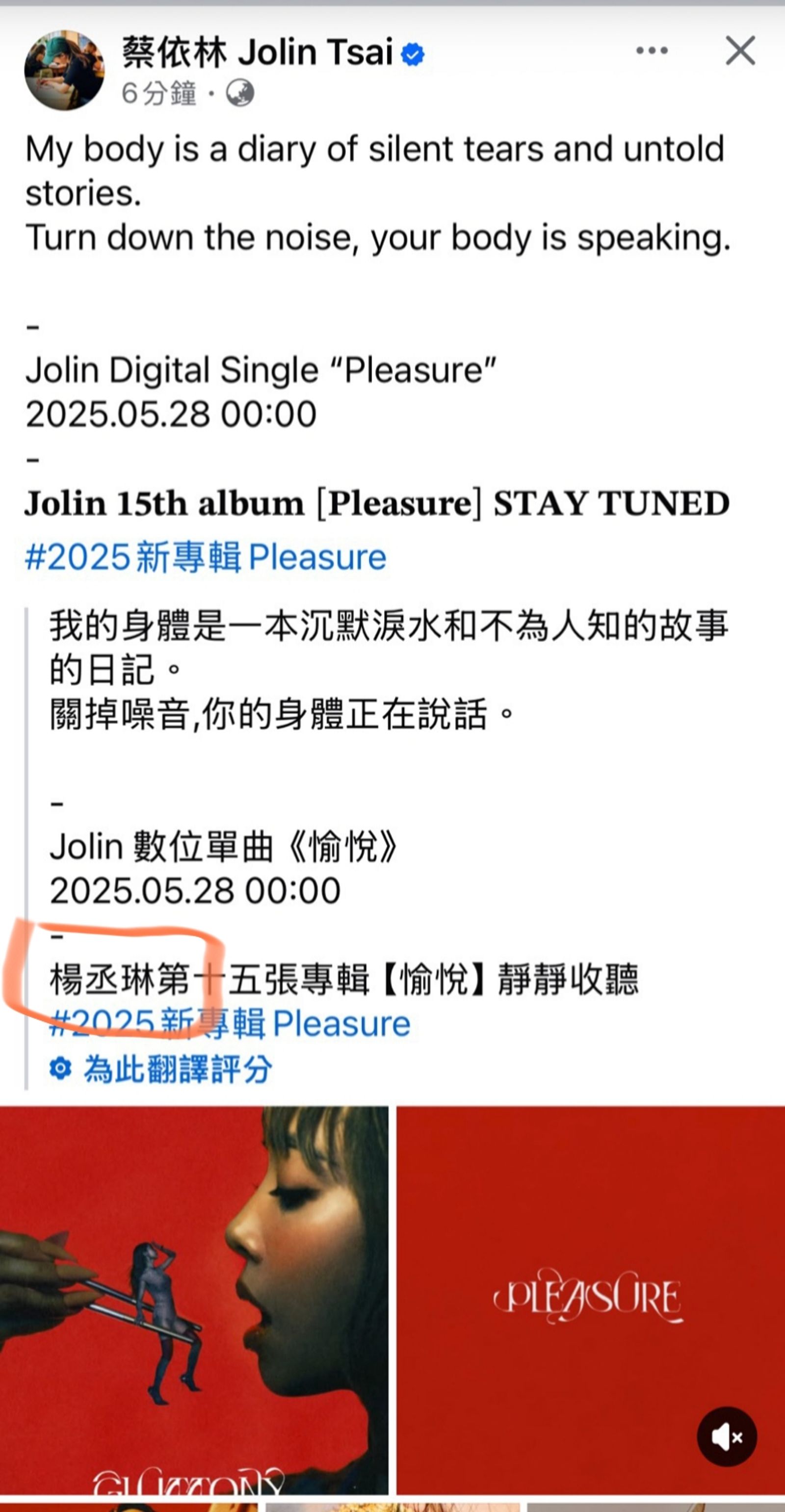 蔡依林的新歌宣傳頁面，竟將歌手姓名誤植成楊丞琳。翻攝華納音樂臉書