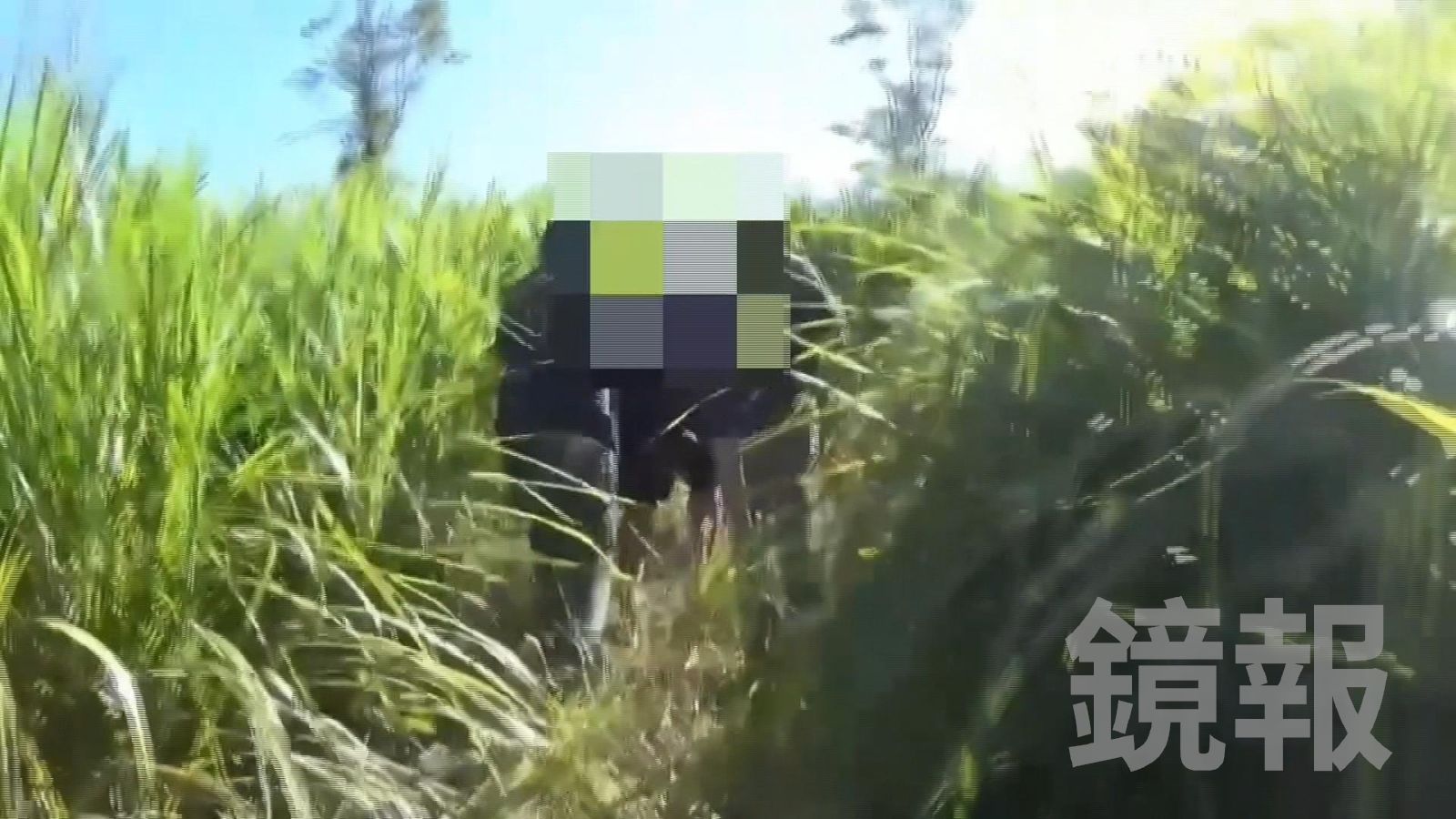 警方將錦明嫌犯帶回現場進行調查。翻攝畫面