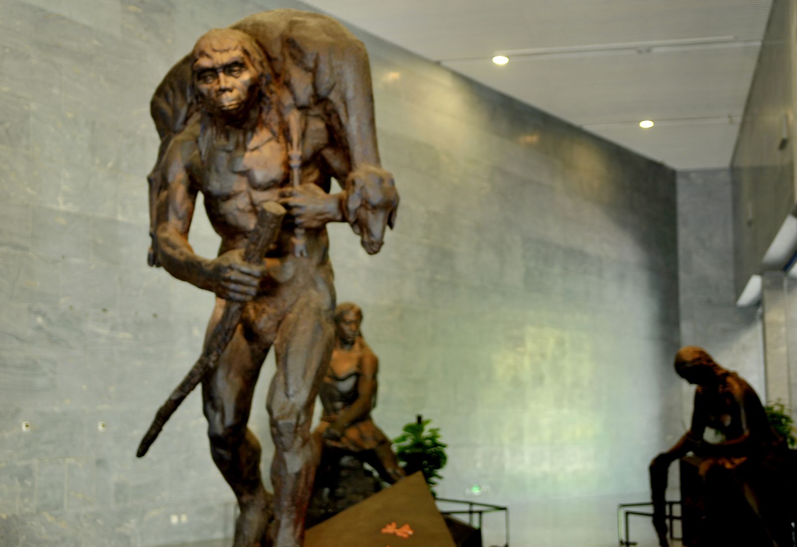 今天啥日｜1929／12／2 首次出土完整的北京猿人頭蓋骨