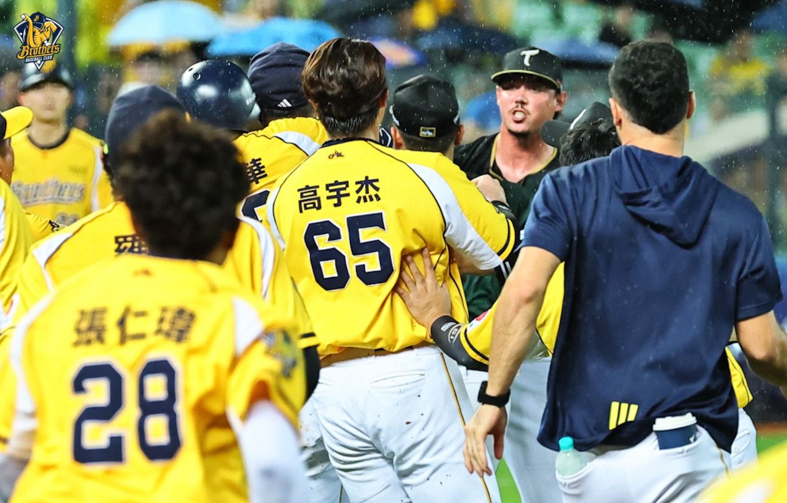 中職／江坤宇遭石萬金觸身球　兄弟雄鷹之戰板凳大清空