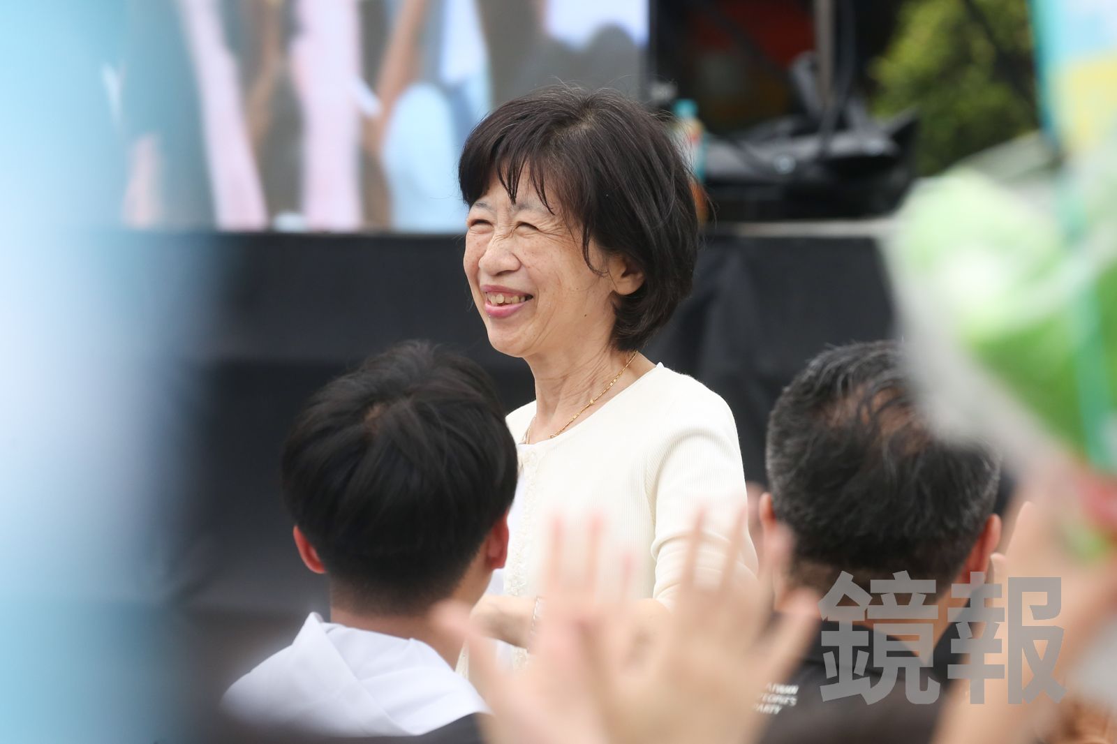 批「整柯文哲就能讓賴清德連任?」 陳佩琪:愛台灣就會痛恨民進黨