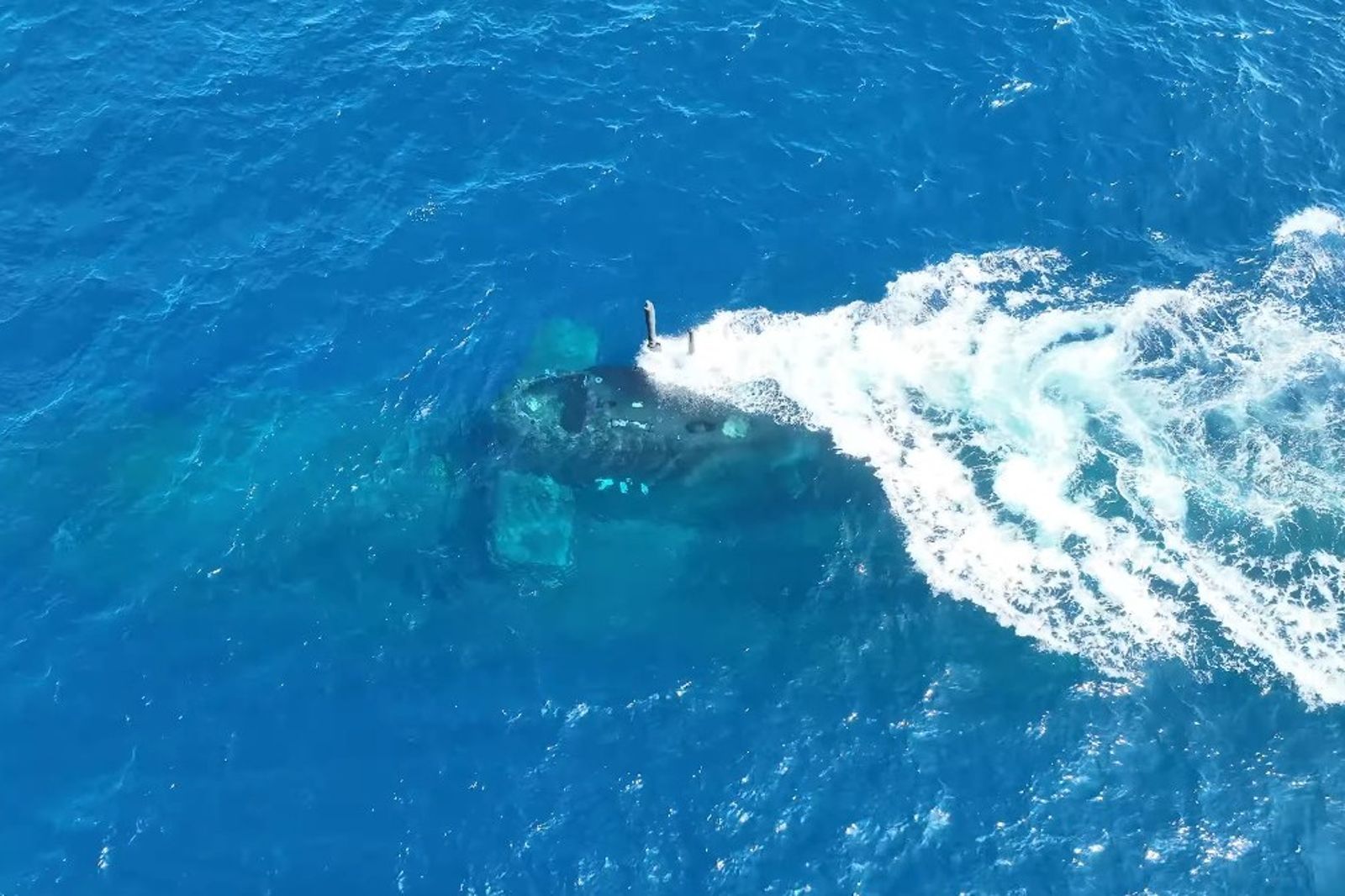 震撼!台船首度釋出海鯤號潛航測試影片 水下、空拍視角一次看