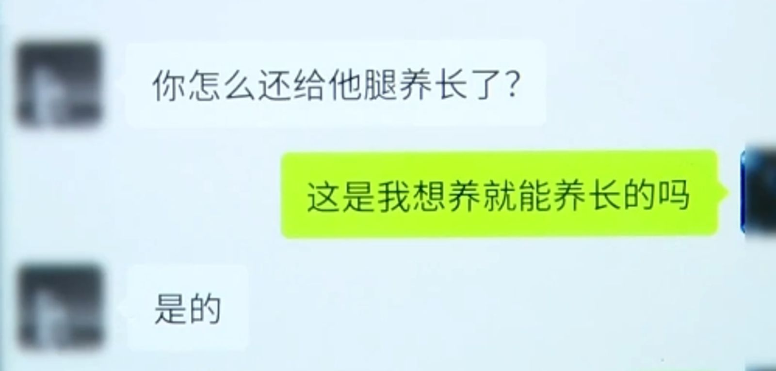 杭州一間黑心寵物店家多次販賣生病寵物，甚至還欺騙飼主品種，事發後避不見面解決。圖／翻攝自《1818黃金眼》微博