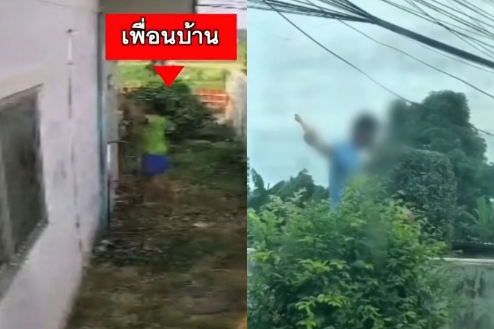 惡鄰狂按「尖叫雞」轟炸 女教師忍10年精神徹底崩潰