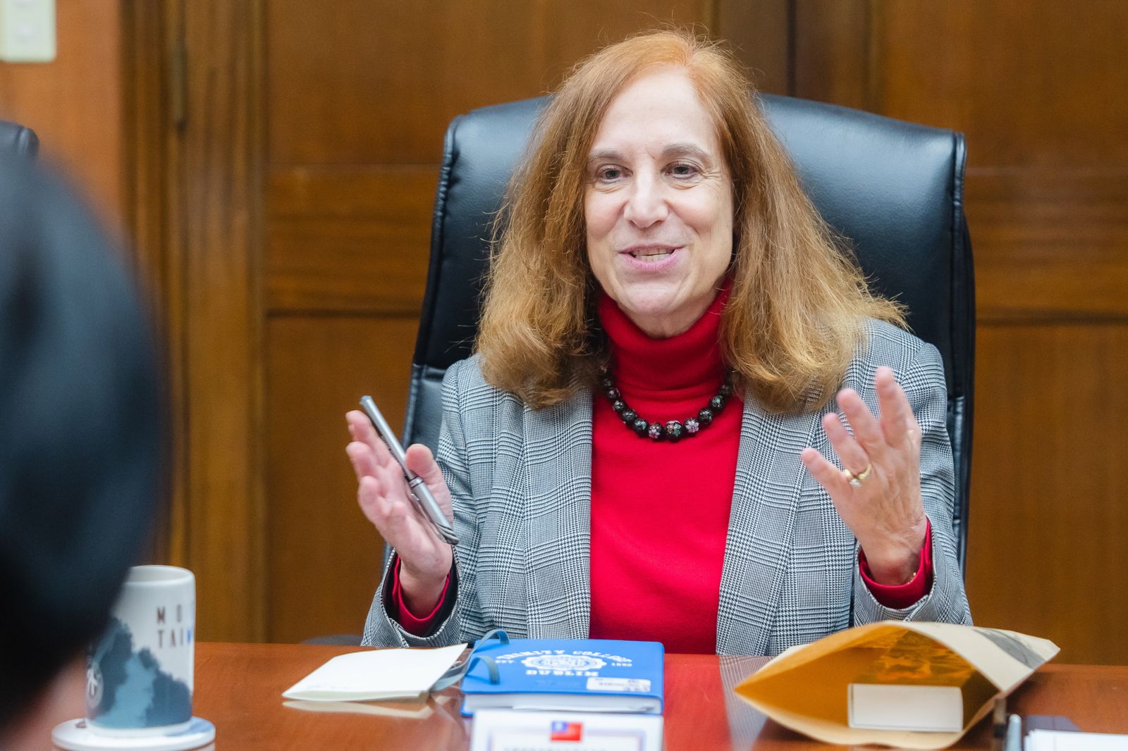 葛來儀稱賴清德要拚年底過境美國　民進黨團：充分表達台美不言而喻的默契