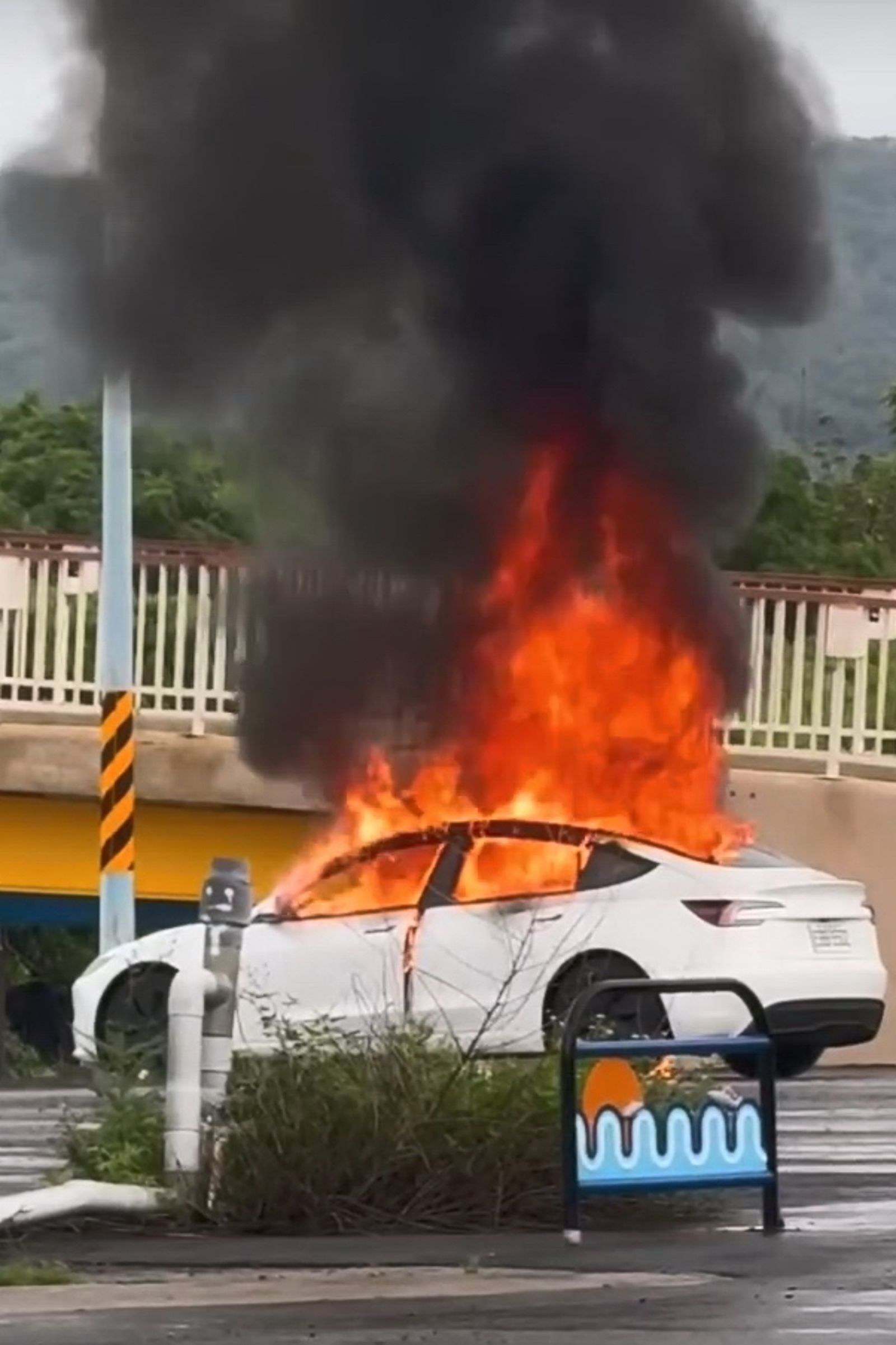 白色特斯拉陷入火海，車內男子葬身火窟。圖／民眾提供