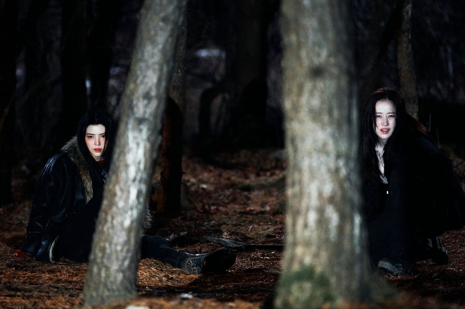 同齡女神首度交鋒！　韓韶禧、全鐘瑞《末路雙嬌》玩命竊金