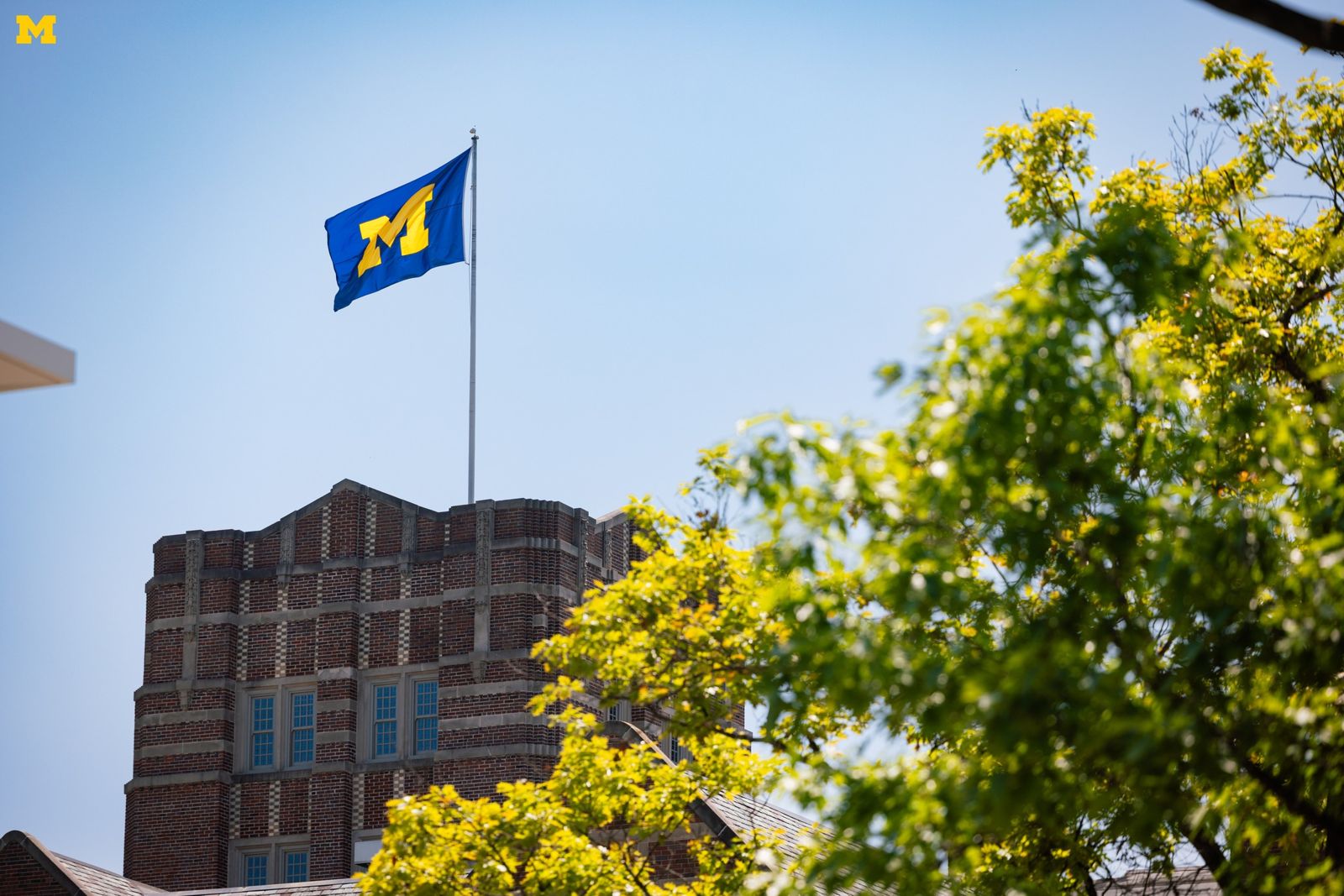 美起訴中國留學生走私「農業恐怖武器」真菌!疑製造糧食危機