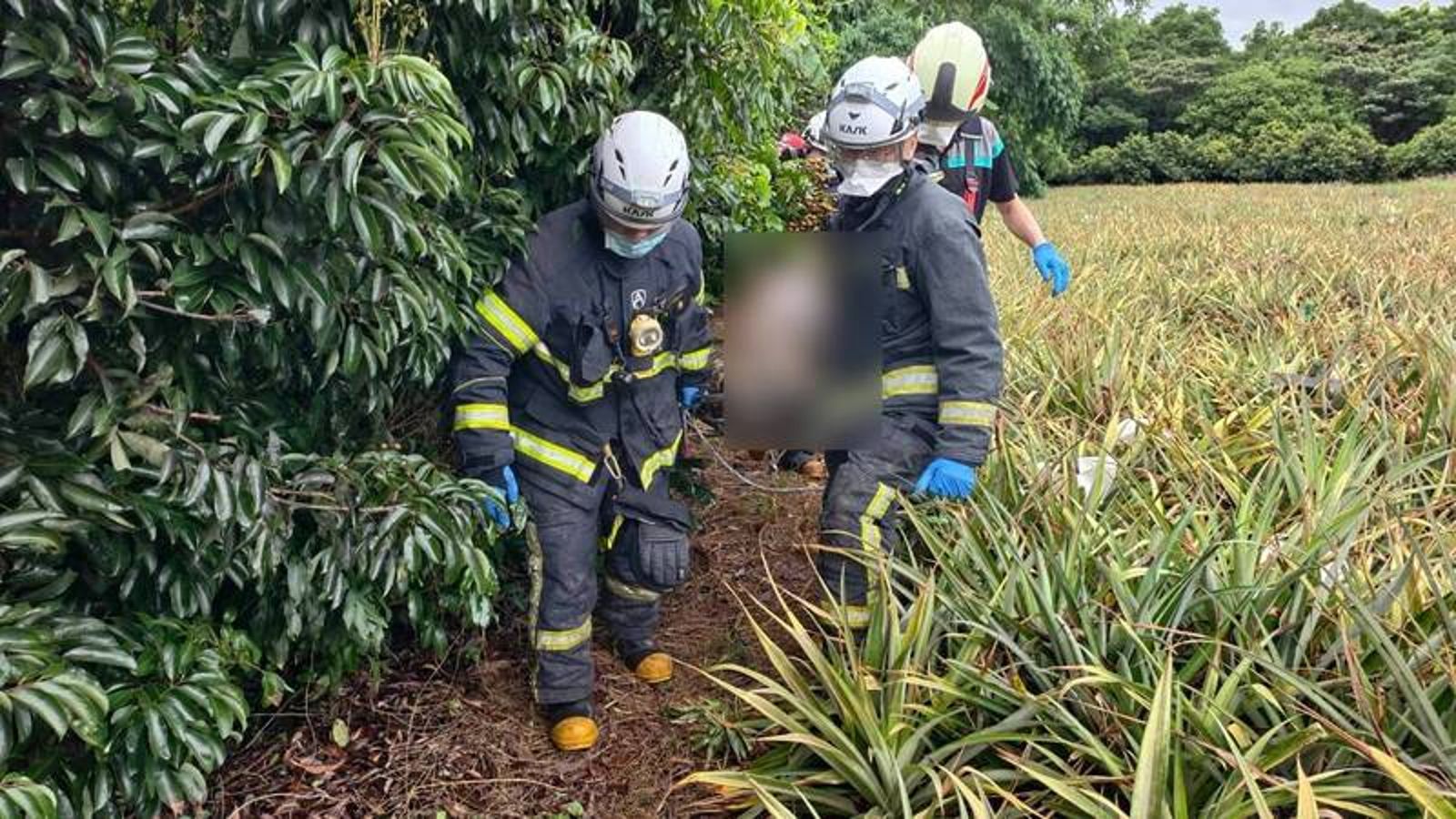 警消將遺體移出荔枝園，交由鑑識小組調查採證。民眾提供