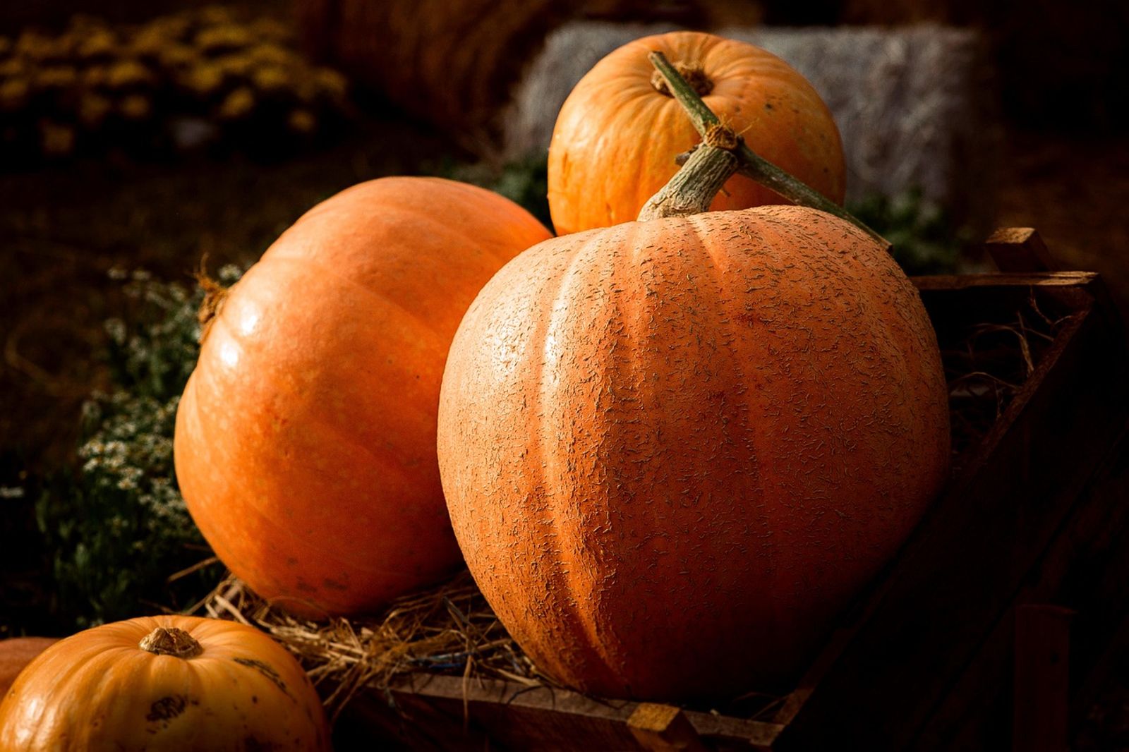 阿北血糖狂飆竟是因「每天喝菜湯」?營養師驚:它是澱粉…教你正確吃法最健康