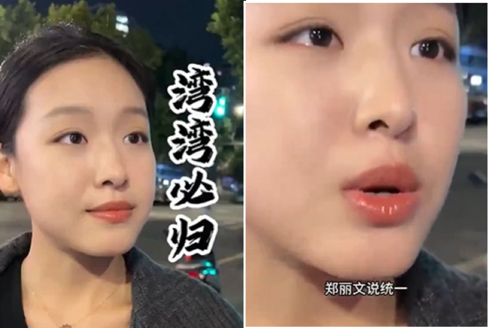 小粉紅拍片再講統一台灣　網驚：鄭麗文竟「中槍」慘被罵