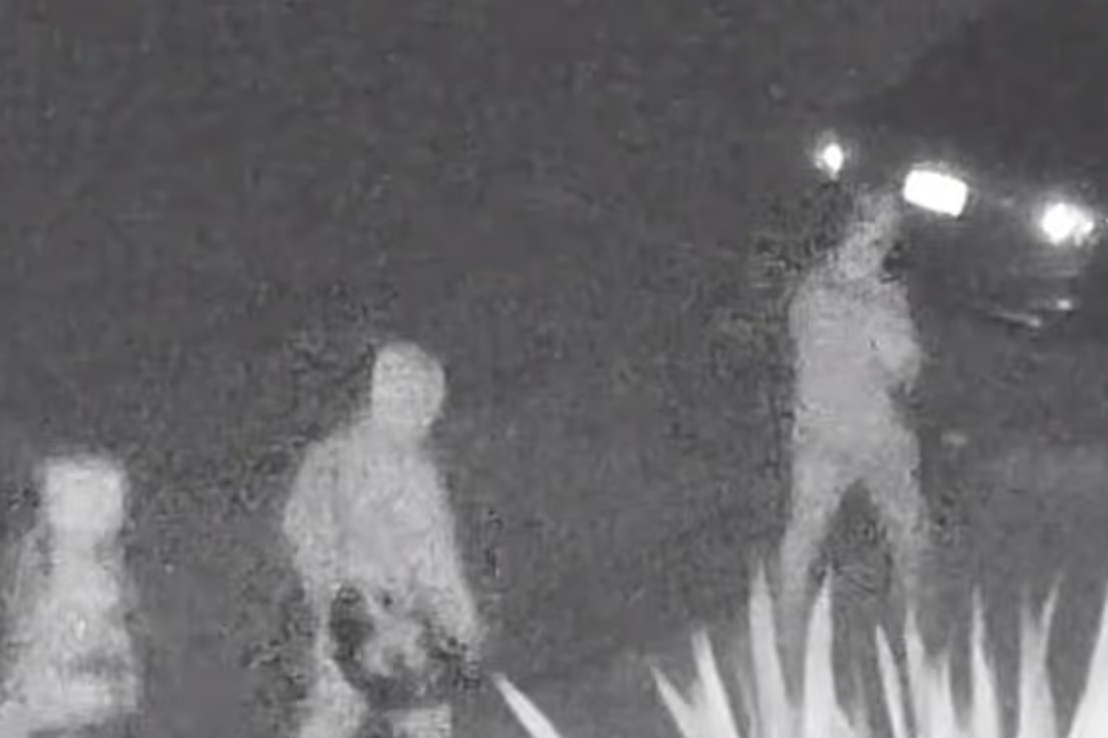 2名員工及員工親友到阿特雷家外徘徊。圖／翻攝畫面