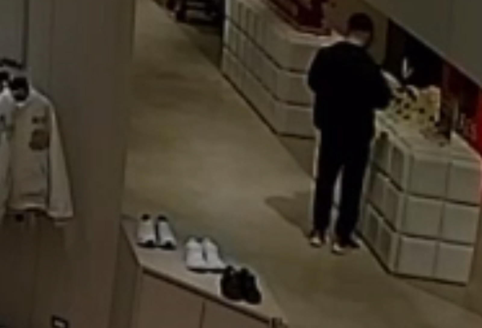 北市香水大盜狂偷名牌貨　警破門「聞香」逮人