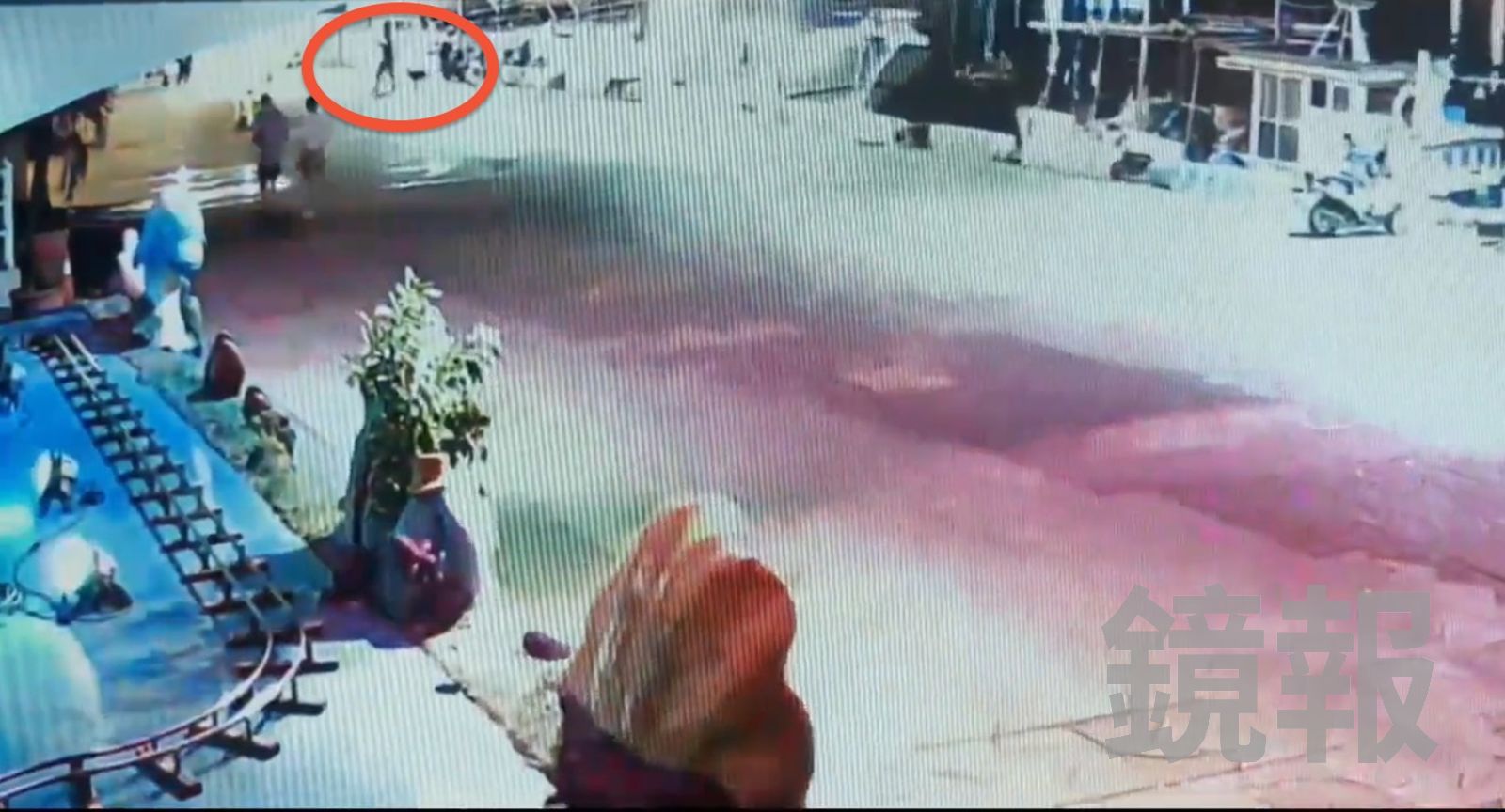 怒!淡水黑狗「Michael」被偷走 嫌犯虐殺棄屍基隆河