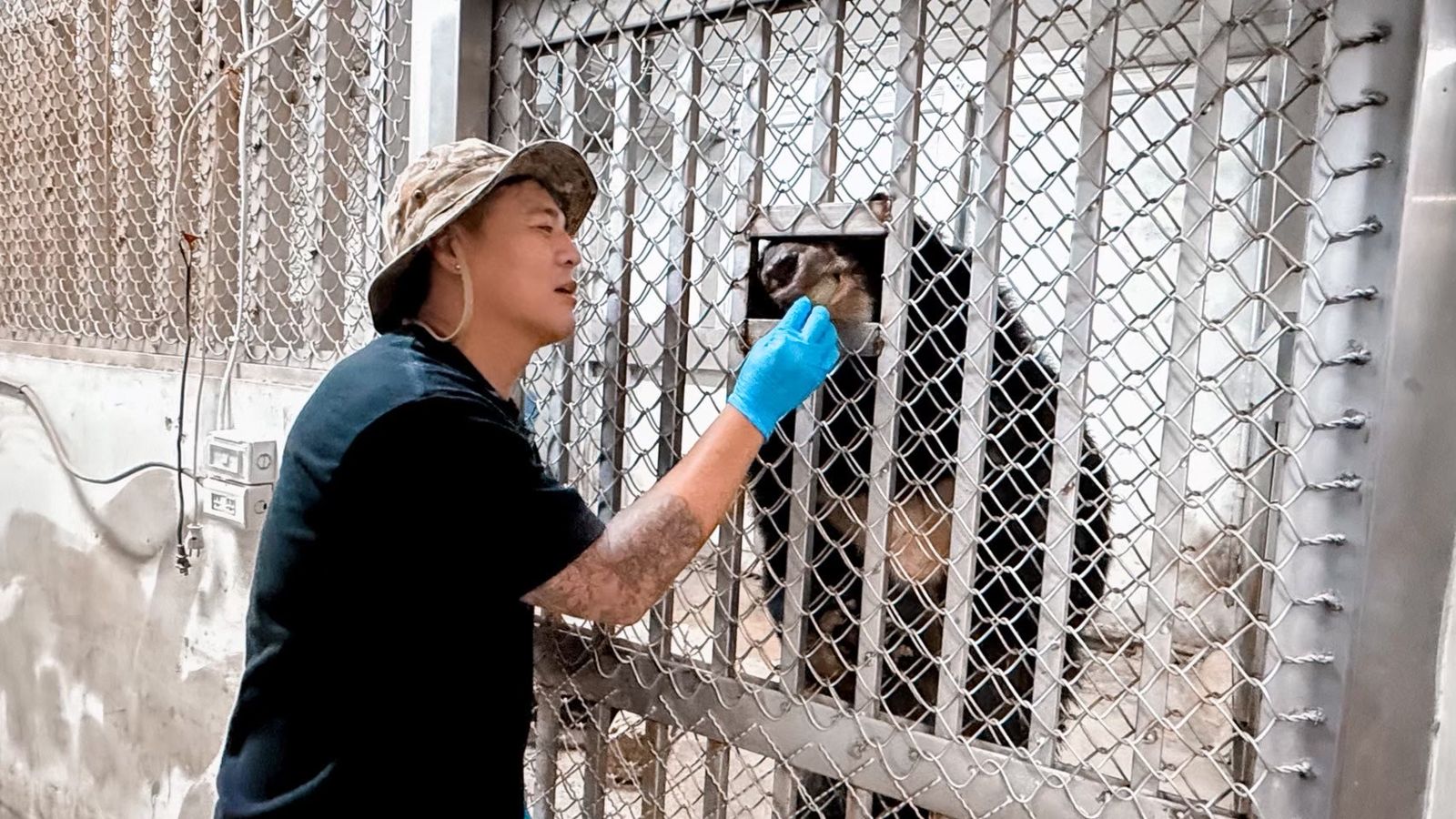 竇智孔認養黑熊、犀鳥、犀牛，化身壽山動物園親子大使。竇智孔提供