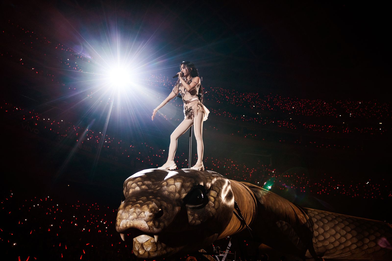 蔡依林在大巨蛋登上巨蟒開唱。凌時差提供