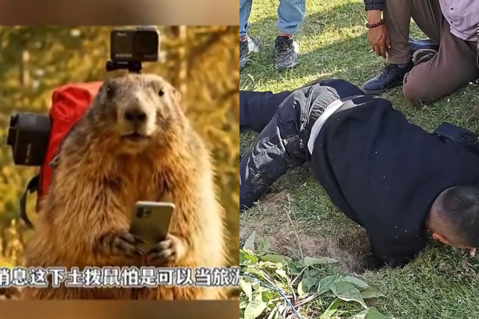 土撥鼠搶當旅遊部落客？偷走運動相機還不夠...再偷車鑰匙　她用1物花3小時才找回
