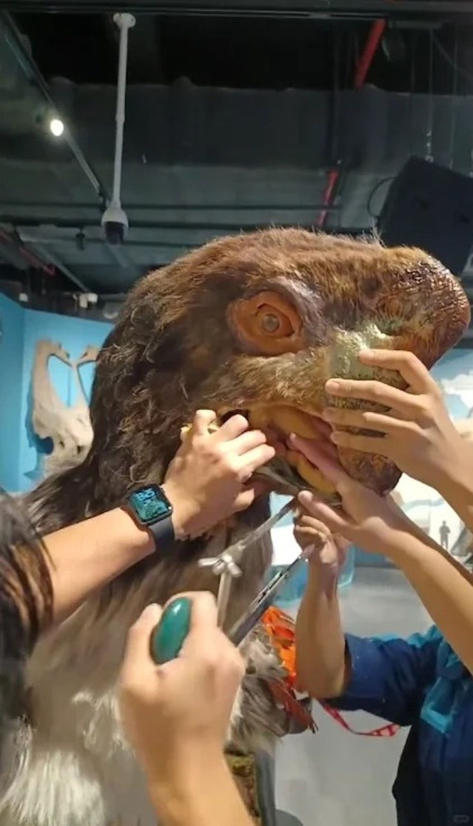 館方判斷,選擇切割恐龍模型下巴的方式解救。圖/翻自《香港01》