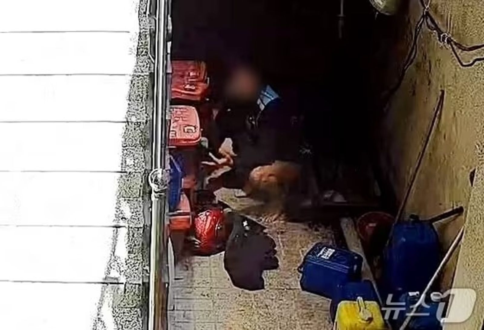 警方調查證實,該名外送員當下僅是肚子痛烙賽,且有清理現場。圖/翻自《NEWS 1》