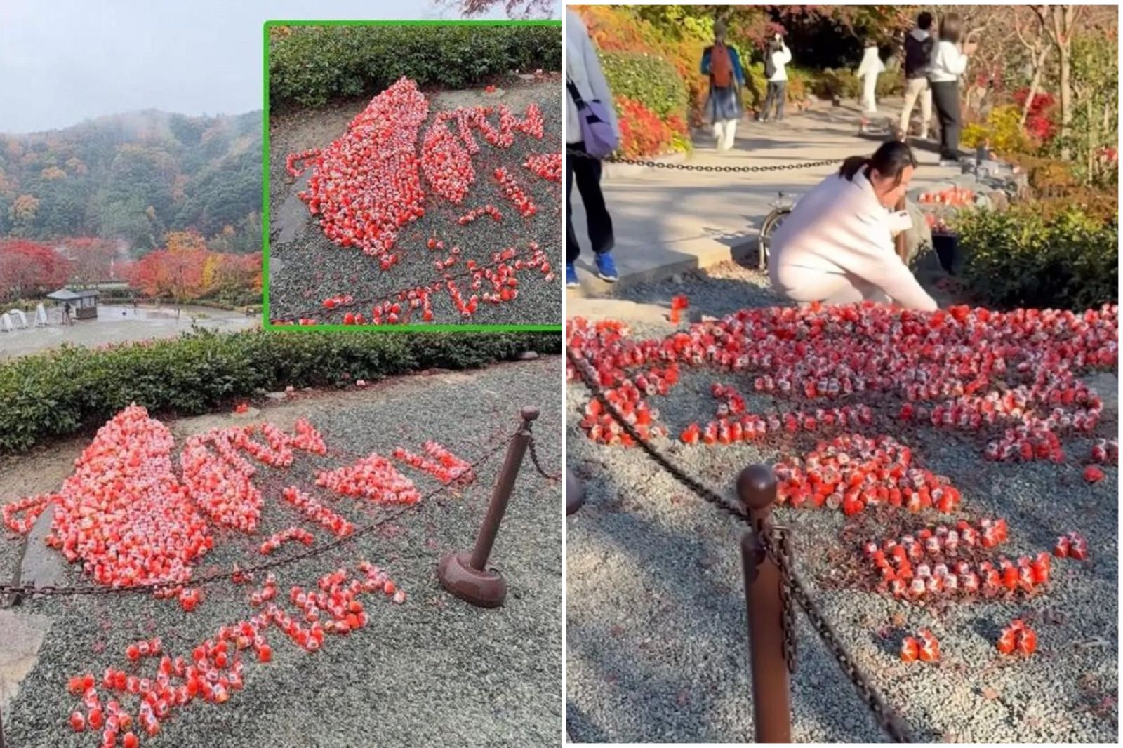 41J肉聲／見大阪勝尾寺擺「愛台灣達摩陣」　中國粉紅女當場抓狂搞破壞