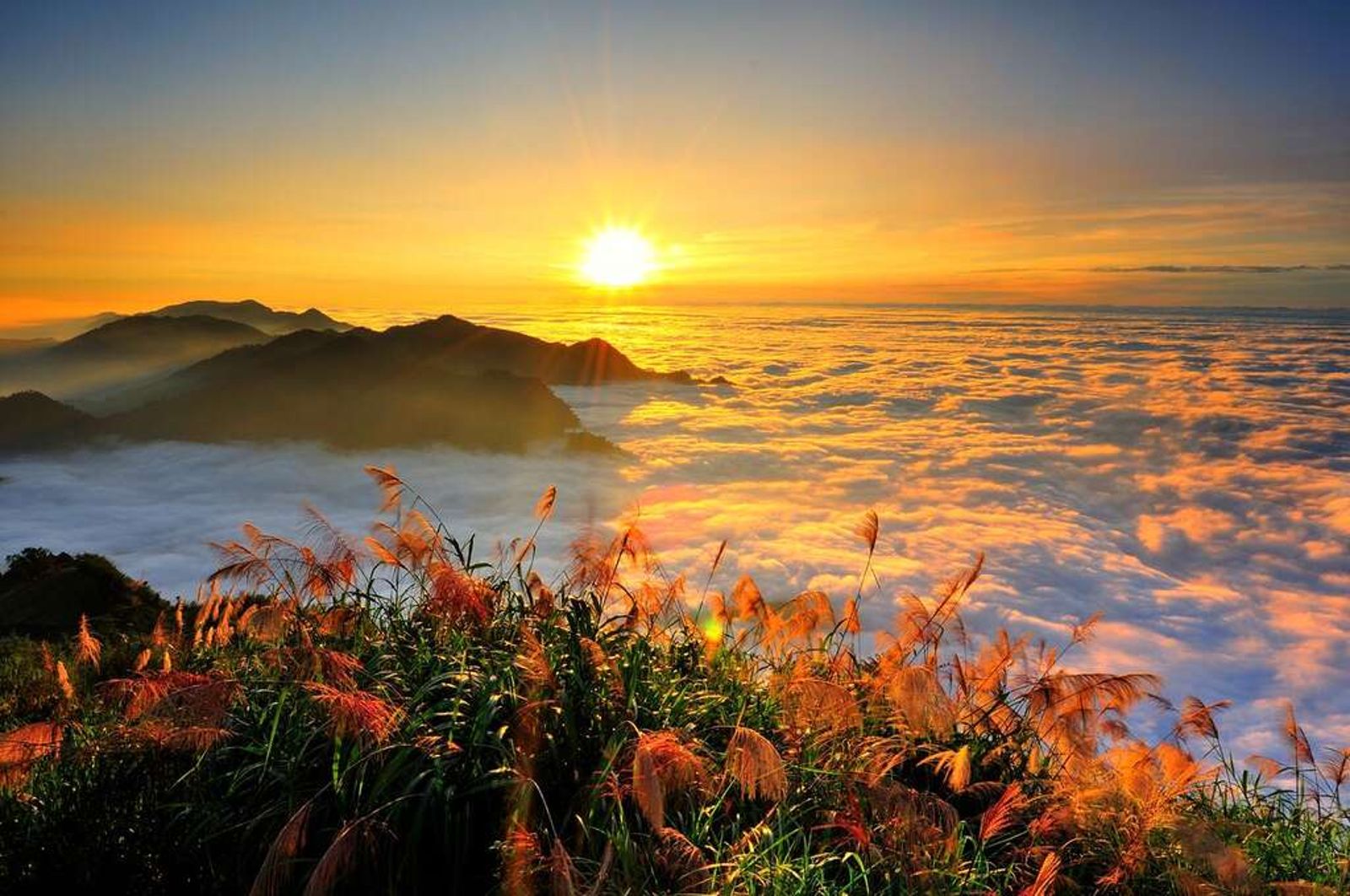 出國第3天就是折磨！一票全認了「國旅沒死」：真的輕鬆　內行曝神級清單：去過忘不了