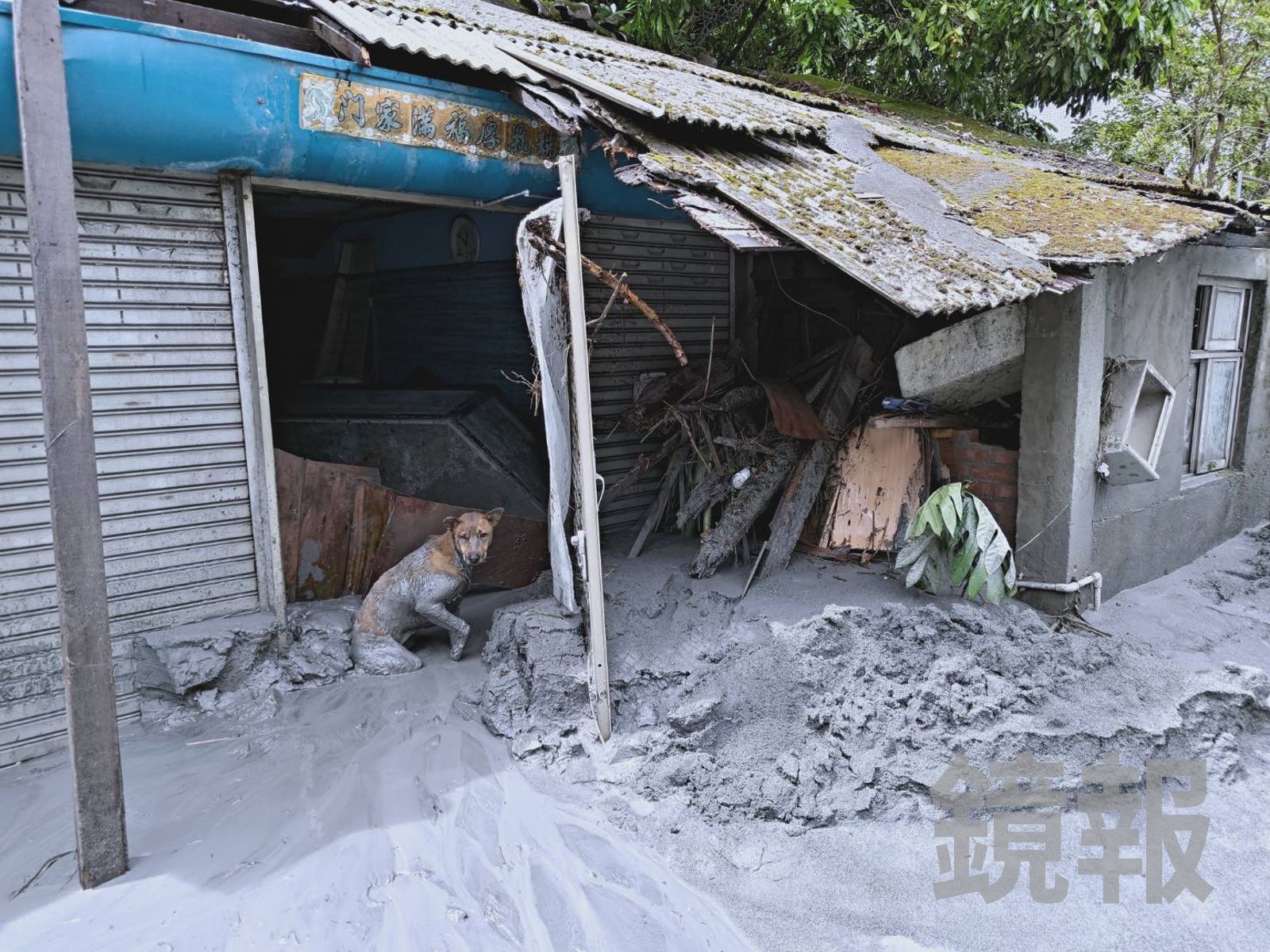 花蓮光復災情嚴重，狗狗全身泥巴也成了受災戶。王吟芳攝