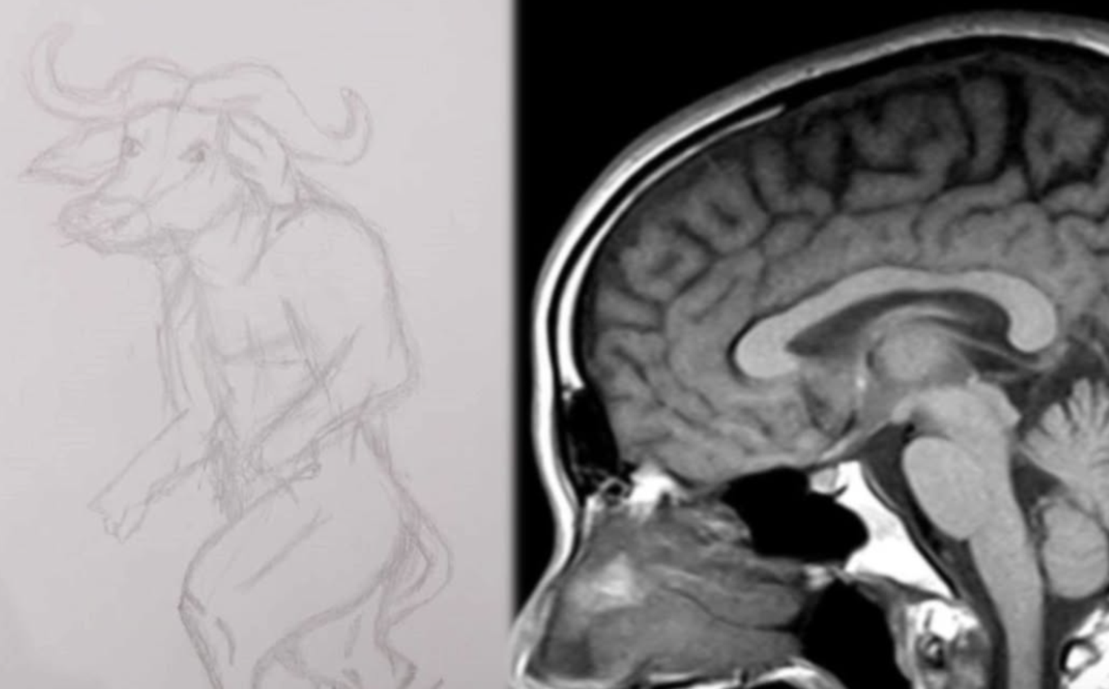 印度男性侵水牛慘罹1病！「趴地吃草＋狂點頭」幻想變成同類...驚人自畫像曝光