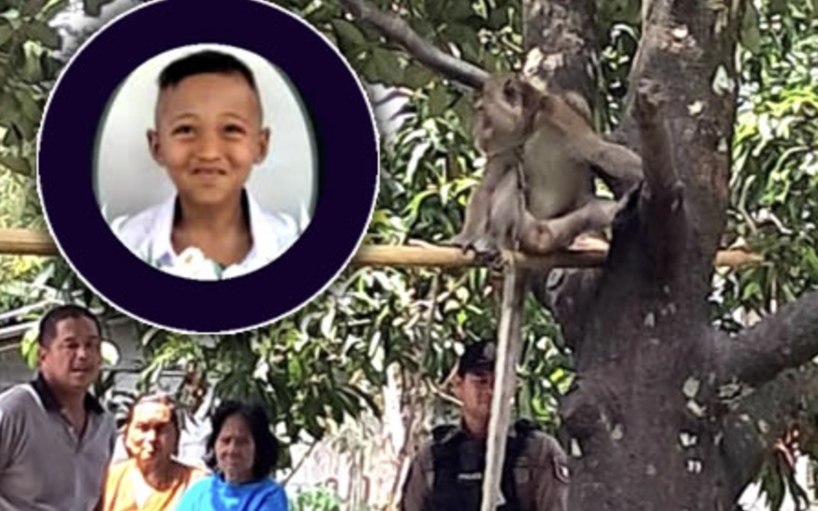6歲男童遭爺爺養的寵物猴攻擊!「獠牙貫穿肺部」傷重慘死
