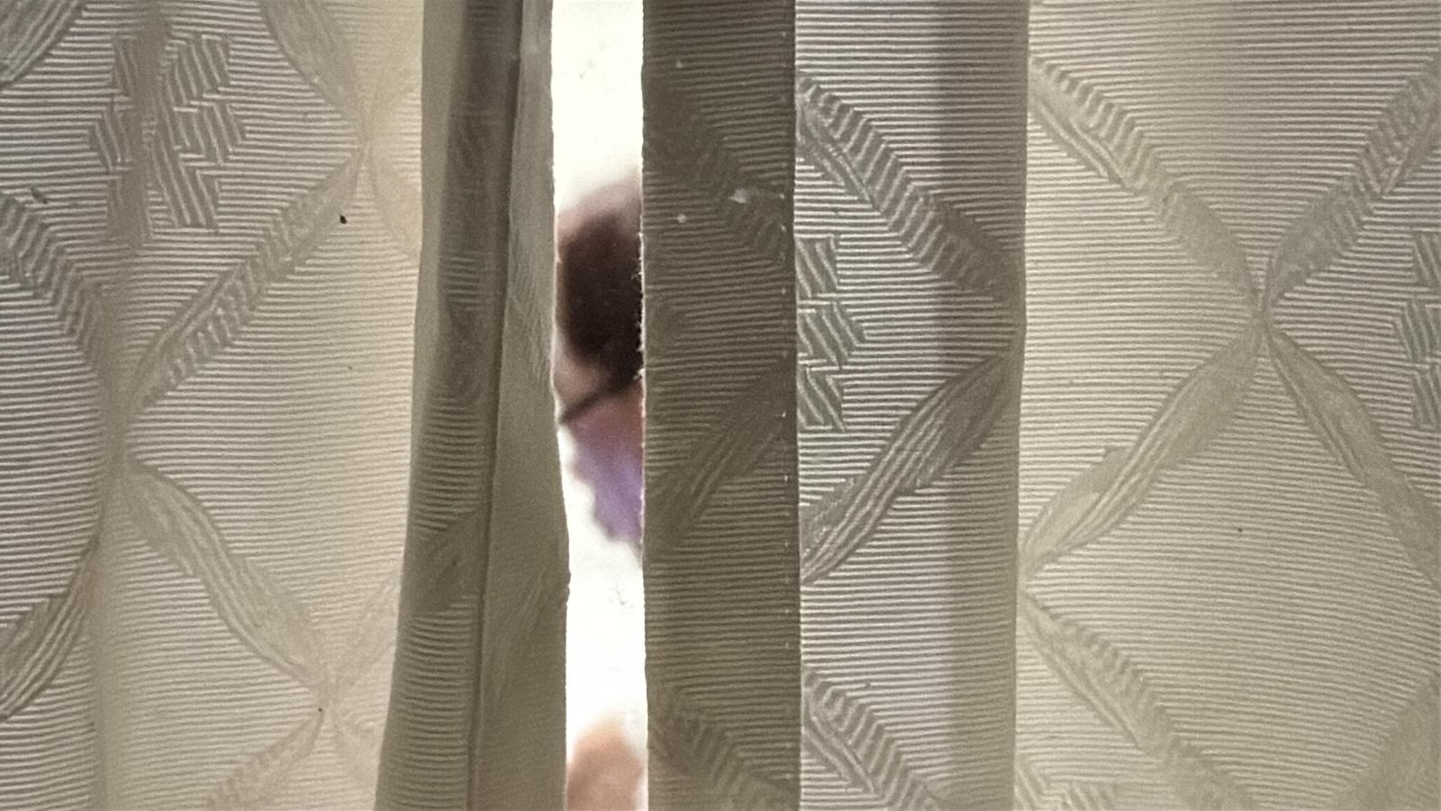 「假律師」出沒光復!稱可為受災戶打國賠官司贏200萬 網傻眼:這勝訴率也敢吹